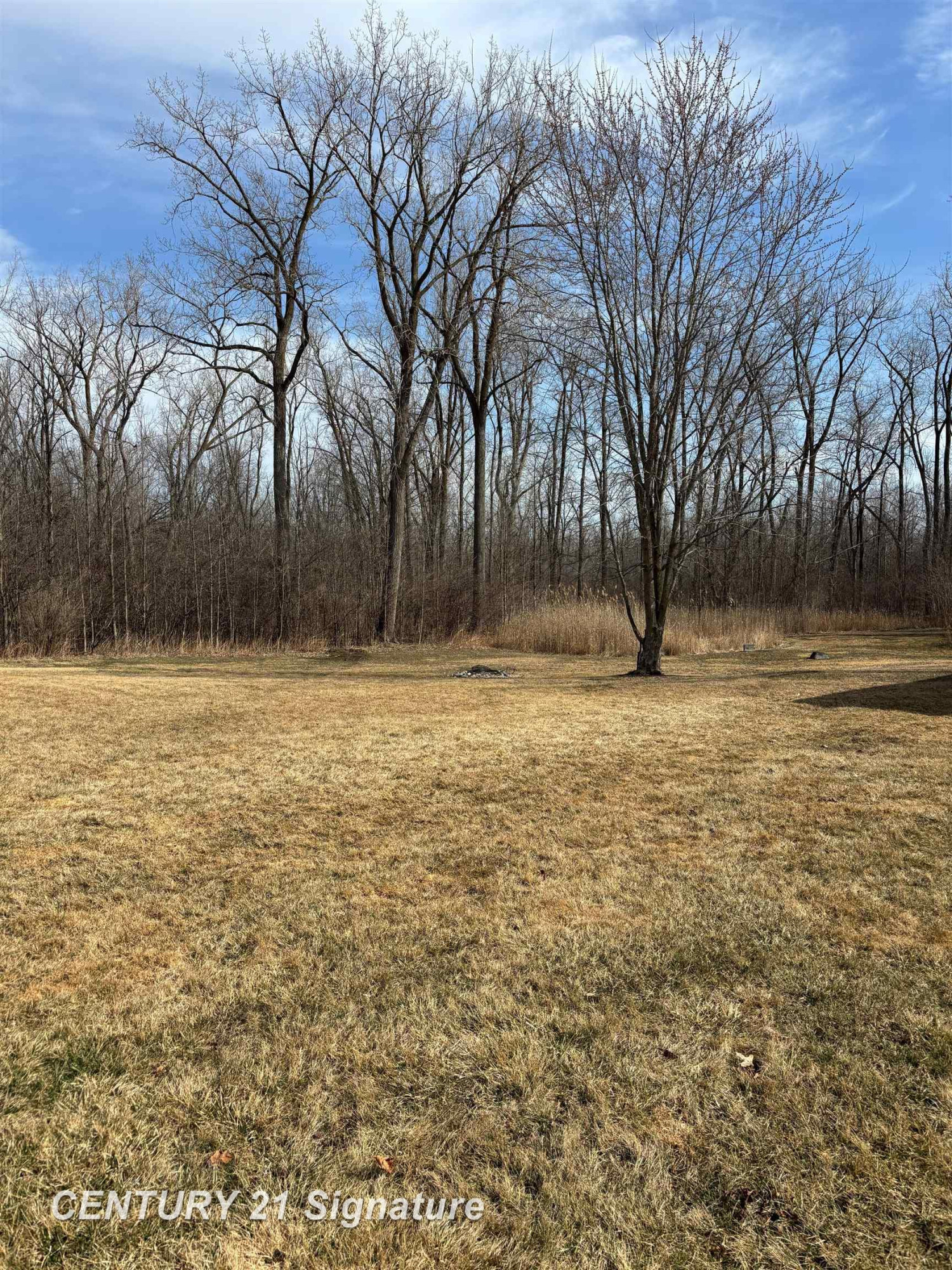 770 Pennell Road, Imlay City, MI 48444 — Photo 7