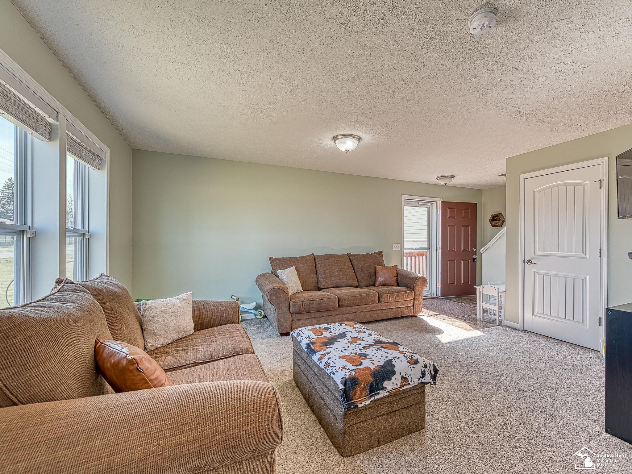 9489 Raisin Street, Maybee, MI — Photo 5