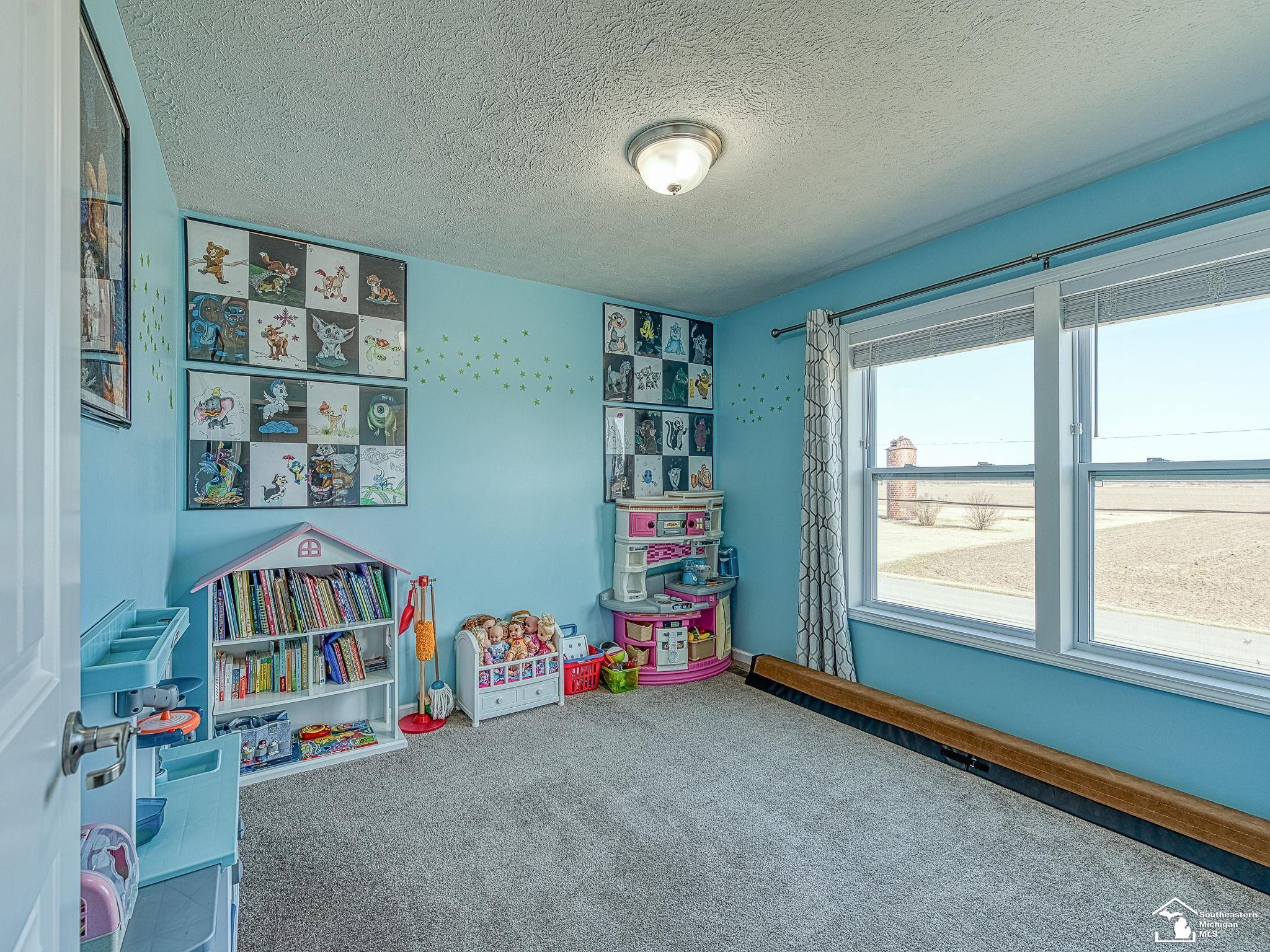 9489 Raisin Street, Maybee, MI — Photo 17
