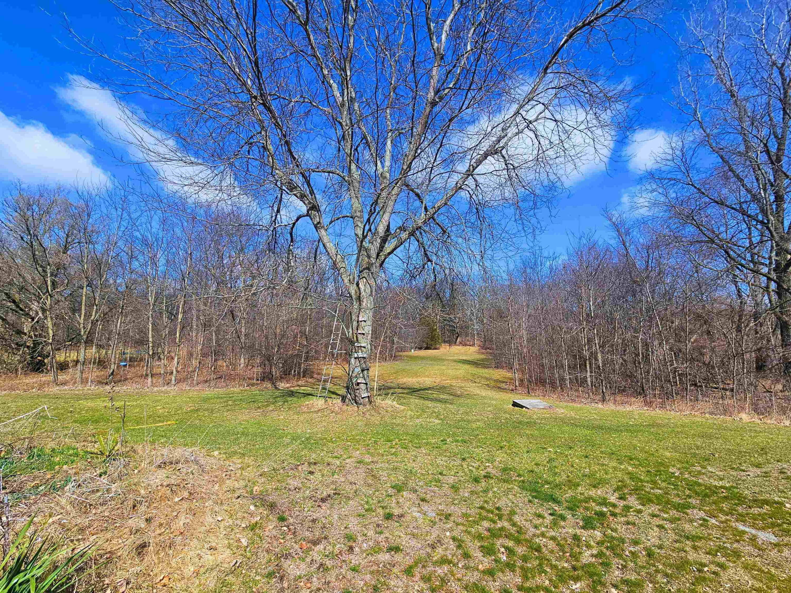 1700 Peet Road, New Lothrop, MI 48460 — Photo 69