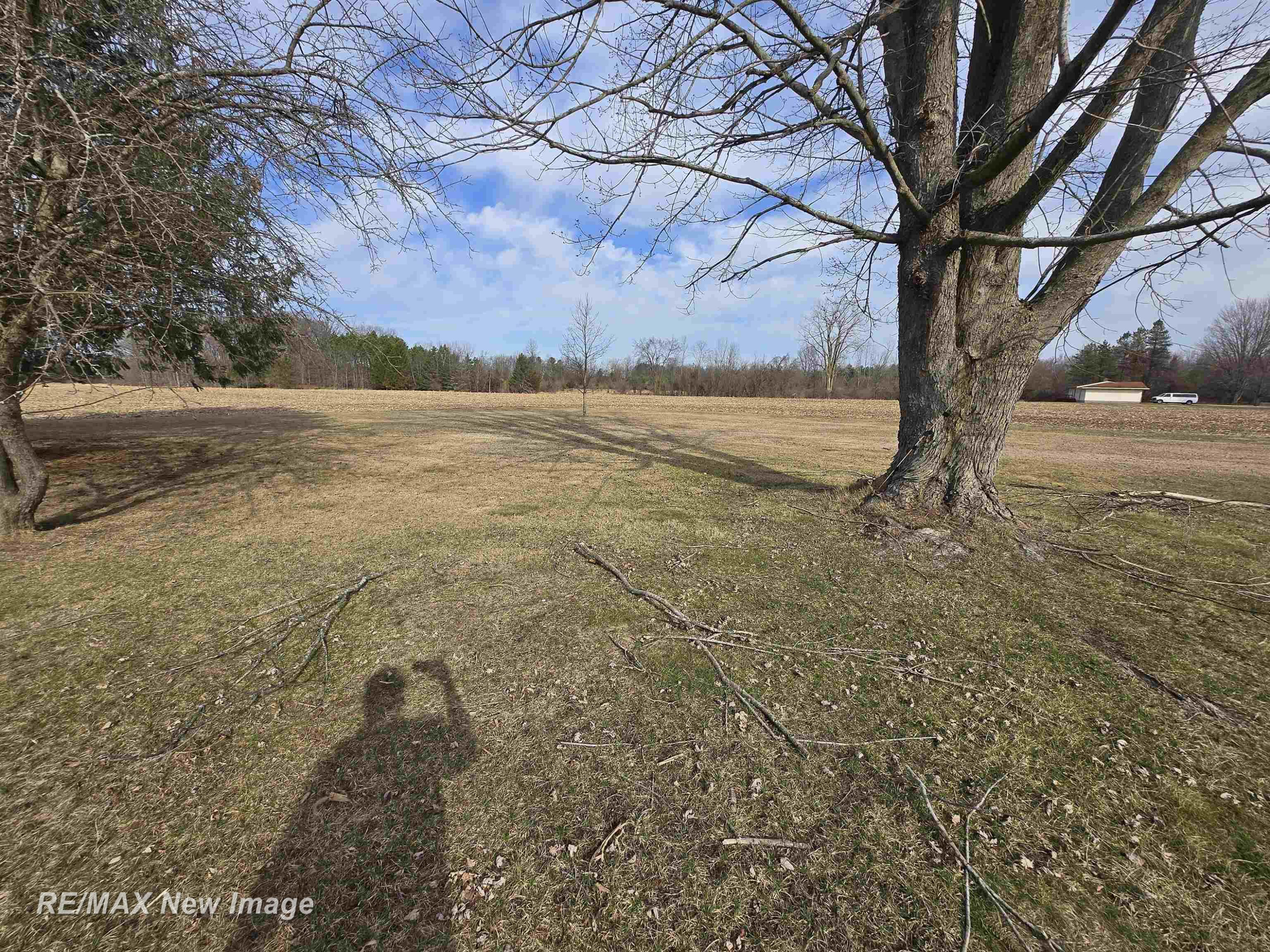 8656 S Raucholz Road, Saint Charles, MI 48655 — Photo 27
