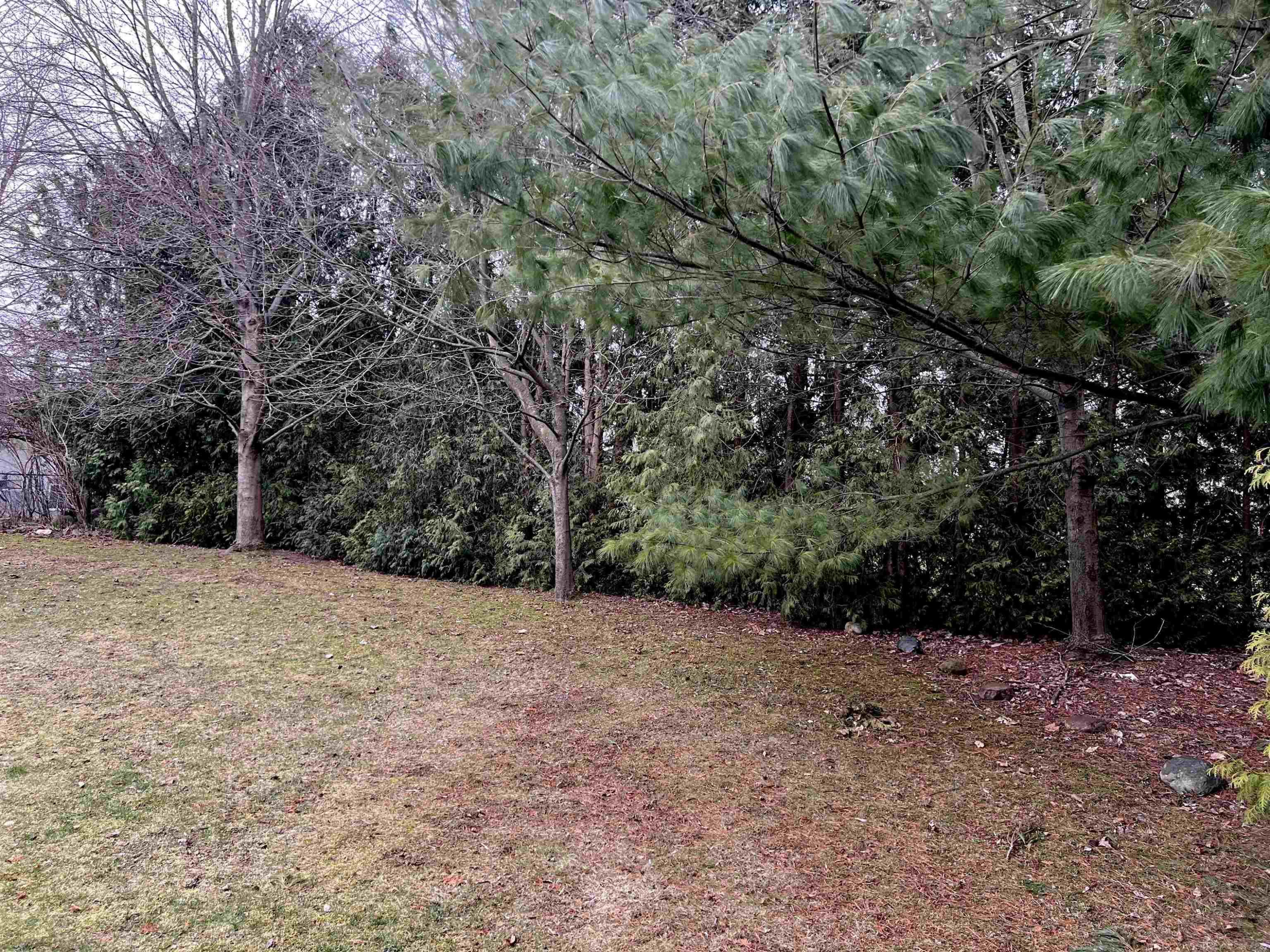 218 Jonathon Drive, Almont, MI 48033 — Photo 2