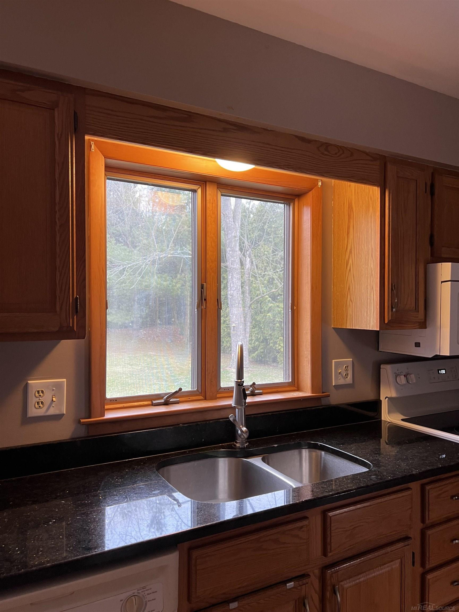 218 Jonathon Drive, Almont, MI 48033 — Photo 13