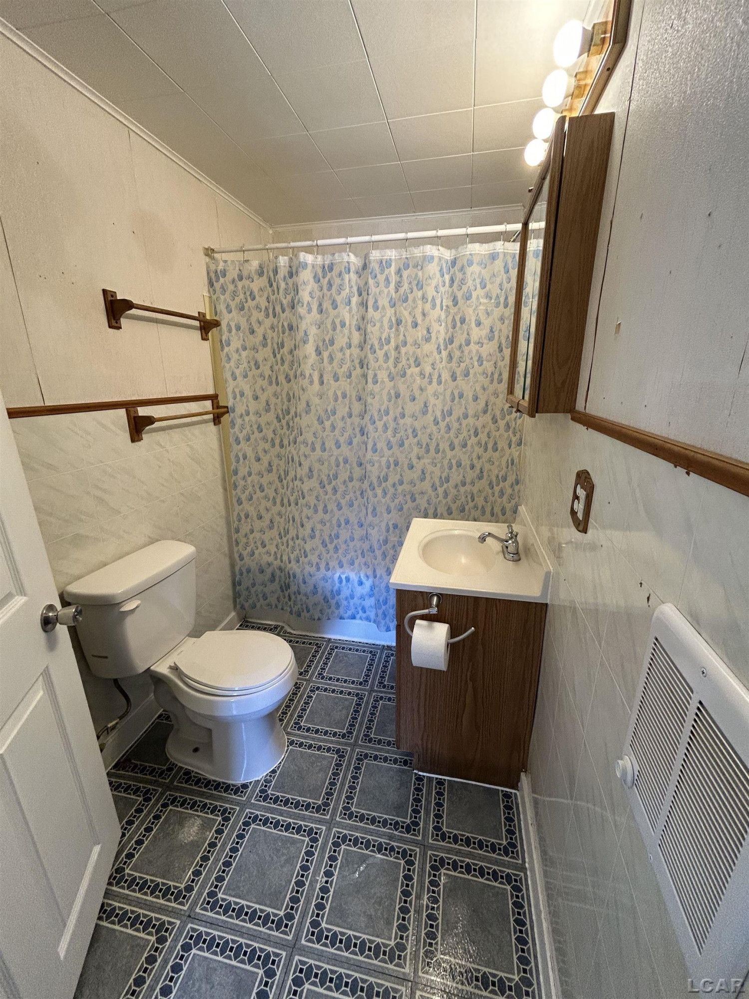 719 S Lane Street, Blissfield, MI 49228 — Photo 14