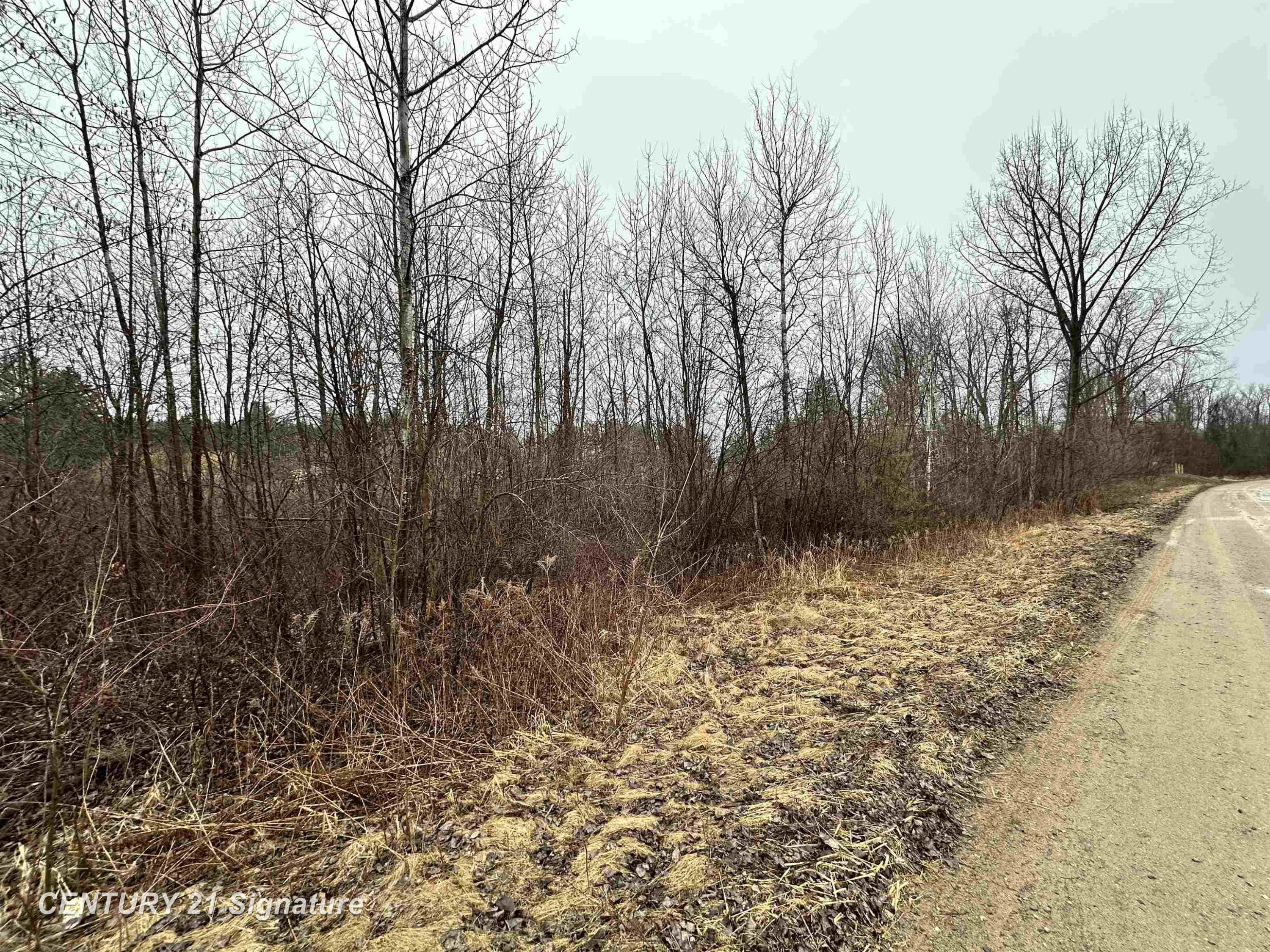 13281 GABLE Street, Hamtramck, MI, 48212