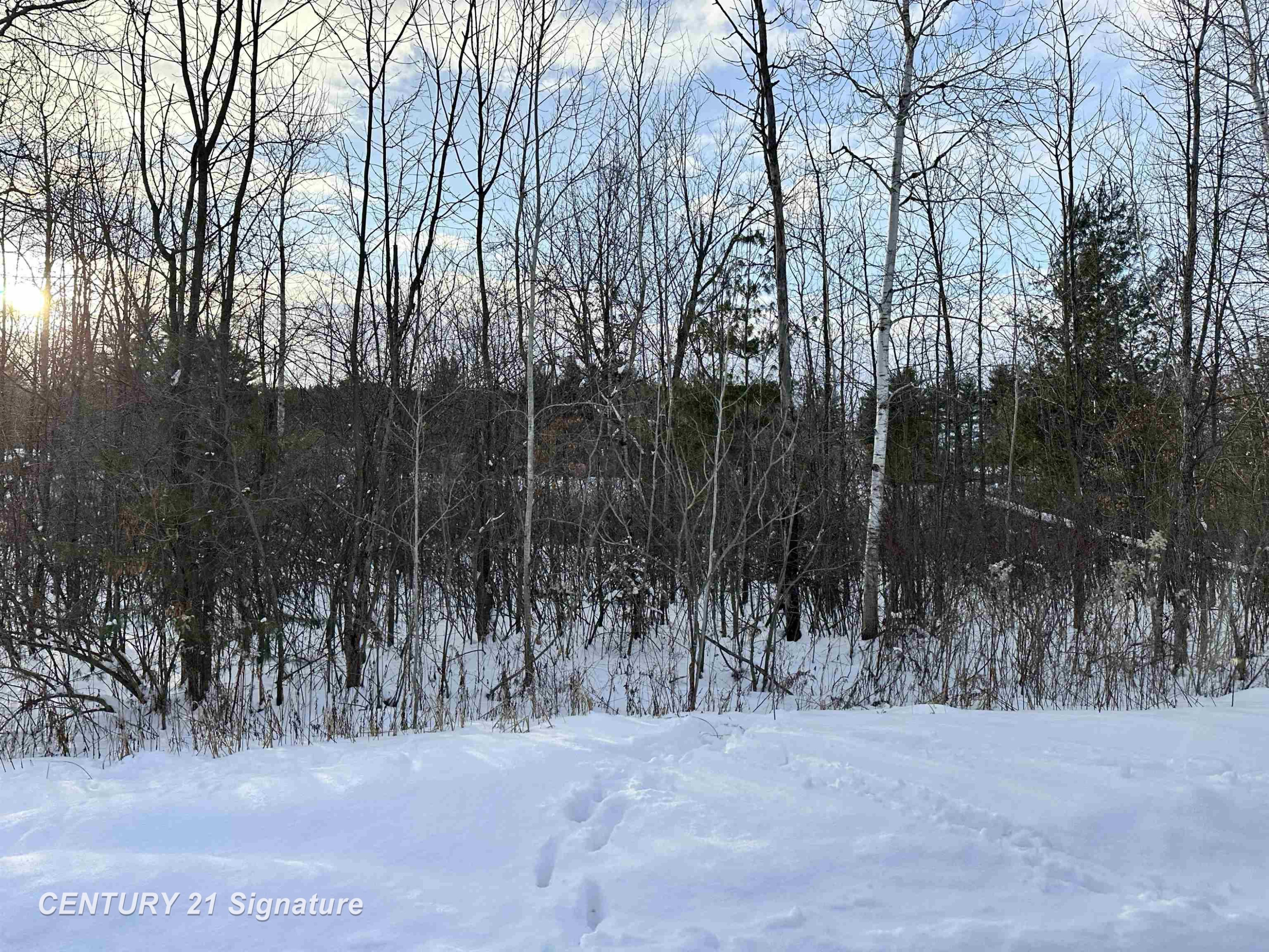 4019 Bay Avenue, Beaverton, MI 48612 — Photo 5