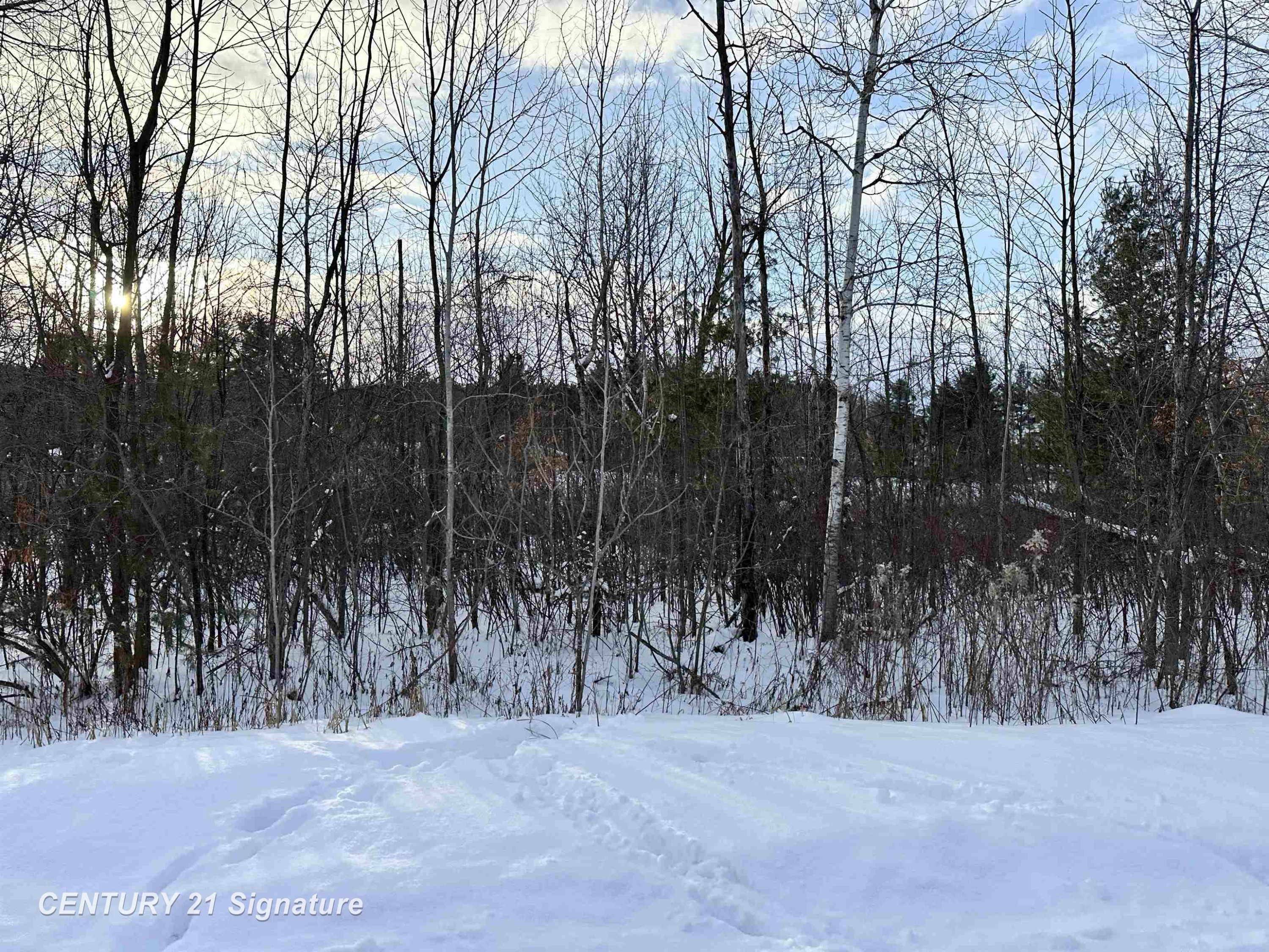 4019 Bay Avenue, Beaverton, MI 48612 — Photo 11