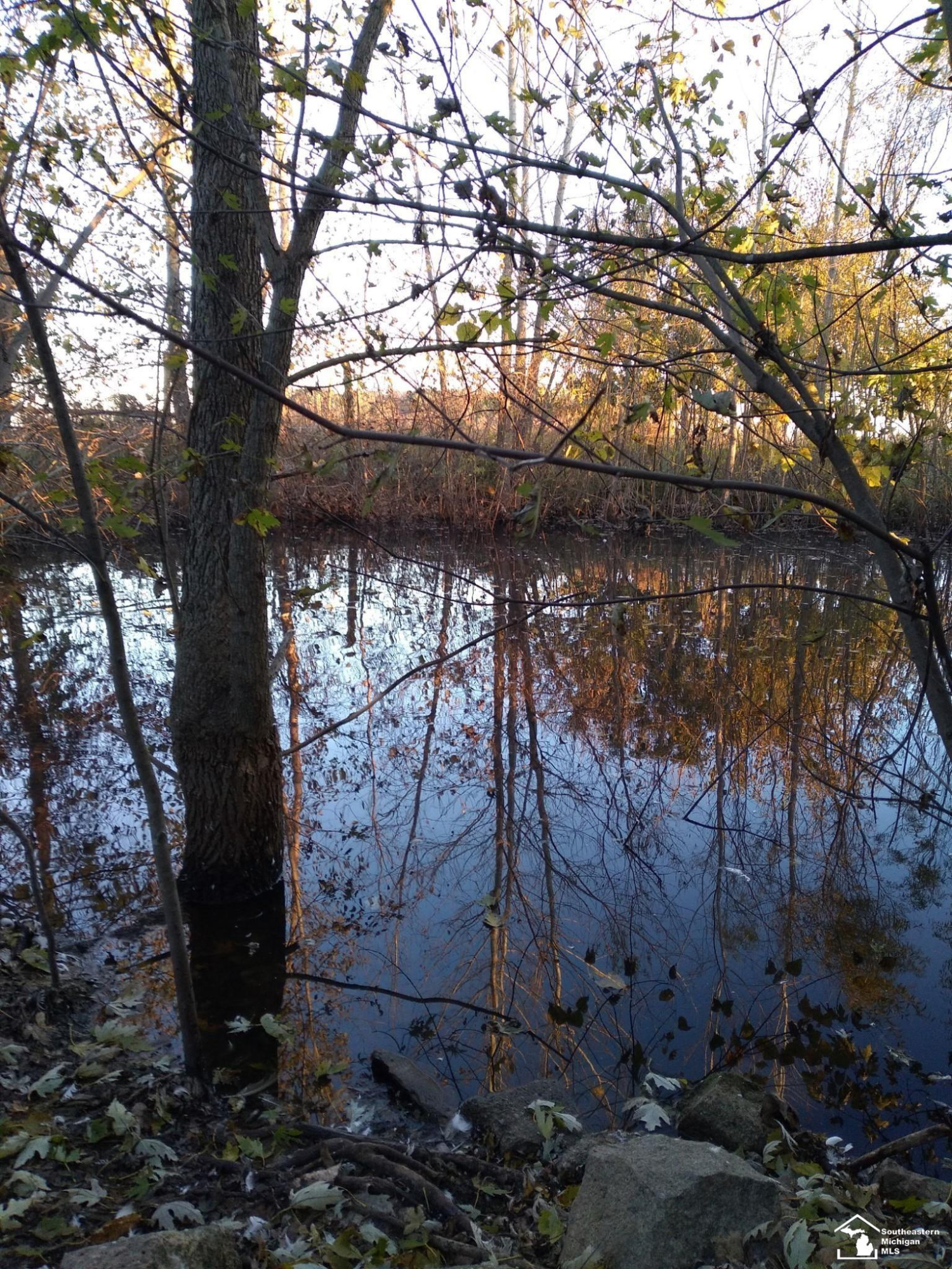 16400 Day Road, Dundee, MI 48131 — Photo 25