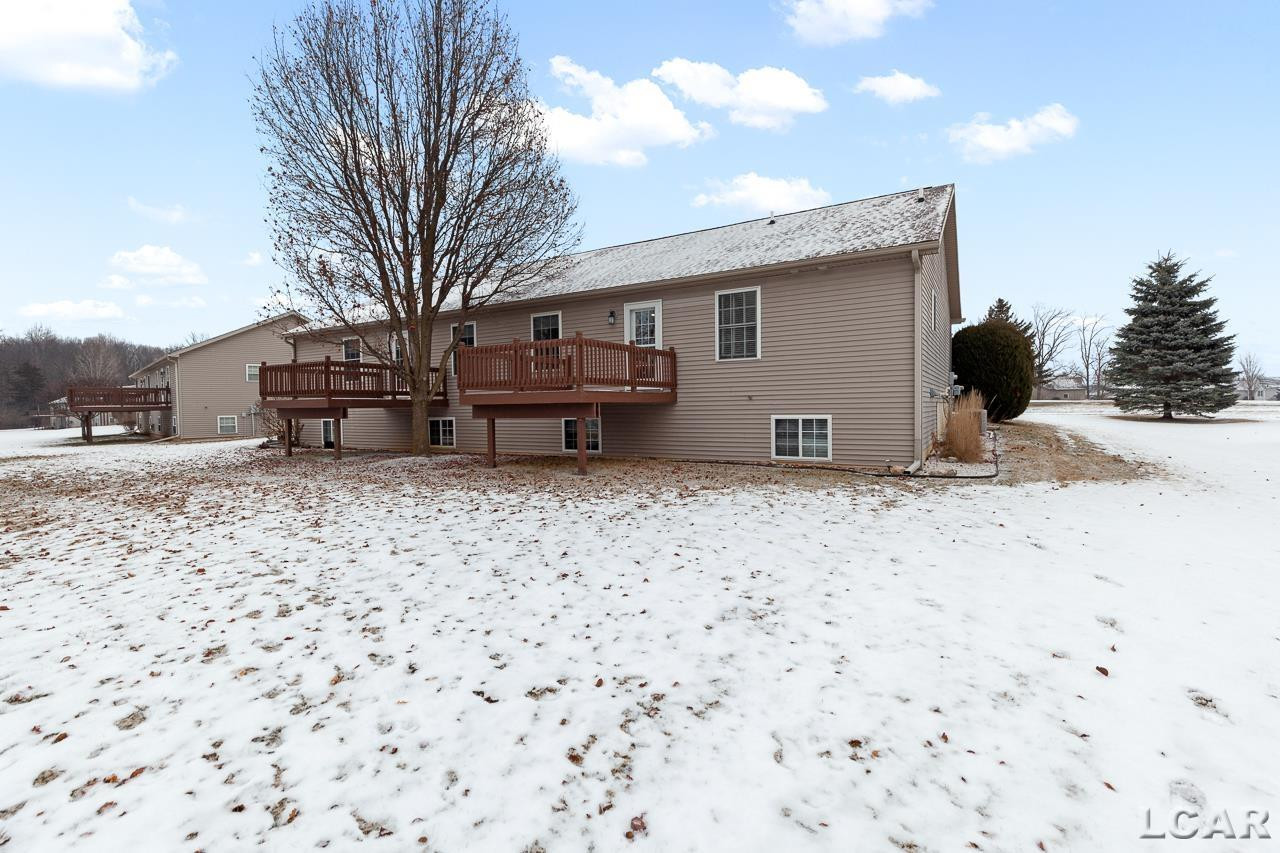 100 Stoli Court, Onsted, MI 49265 — Photo 6