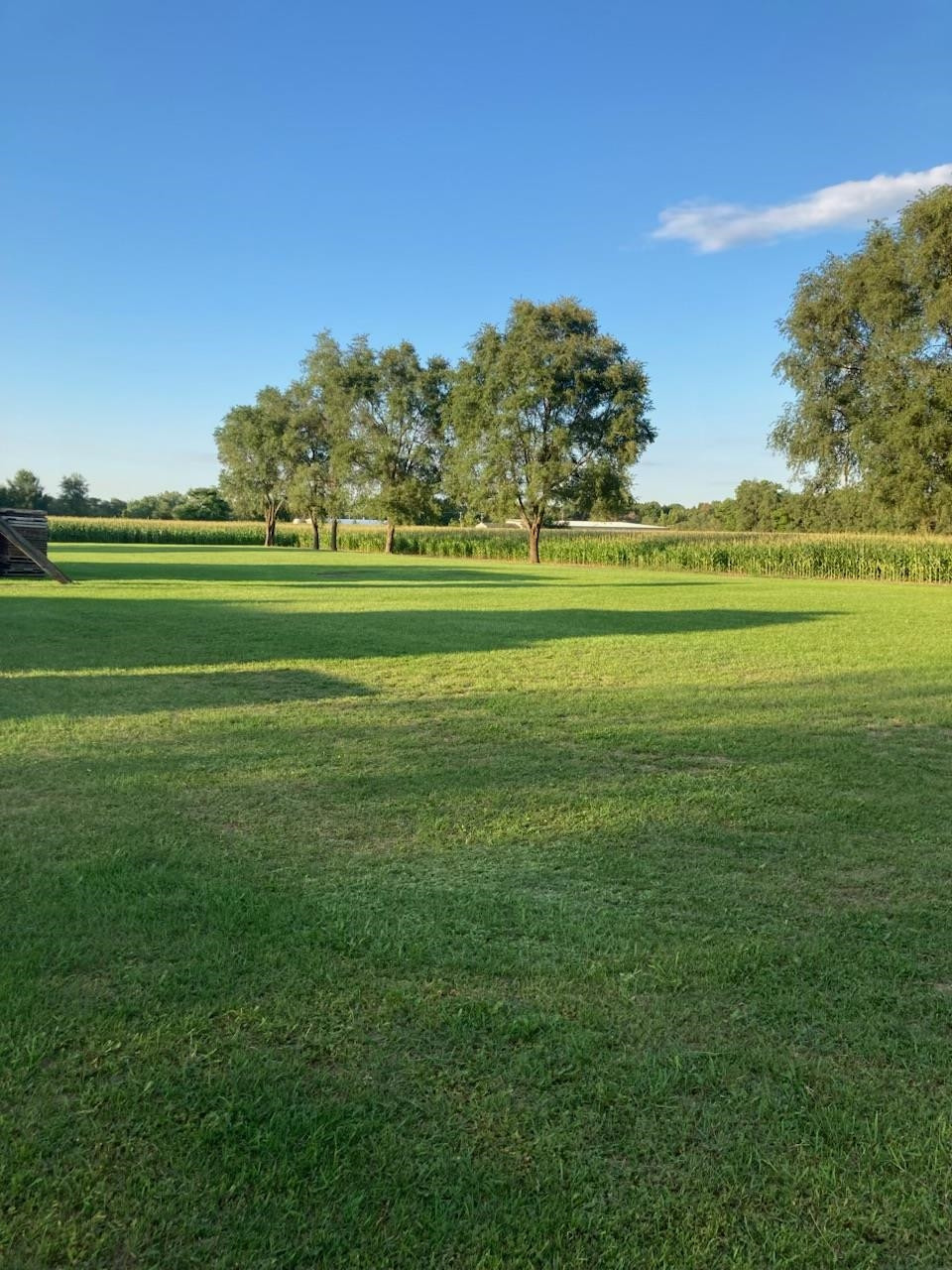 1173 S Hollister Road, Ovid, MI 48866 — Photo 8