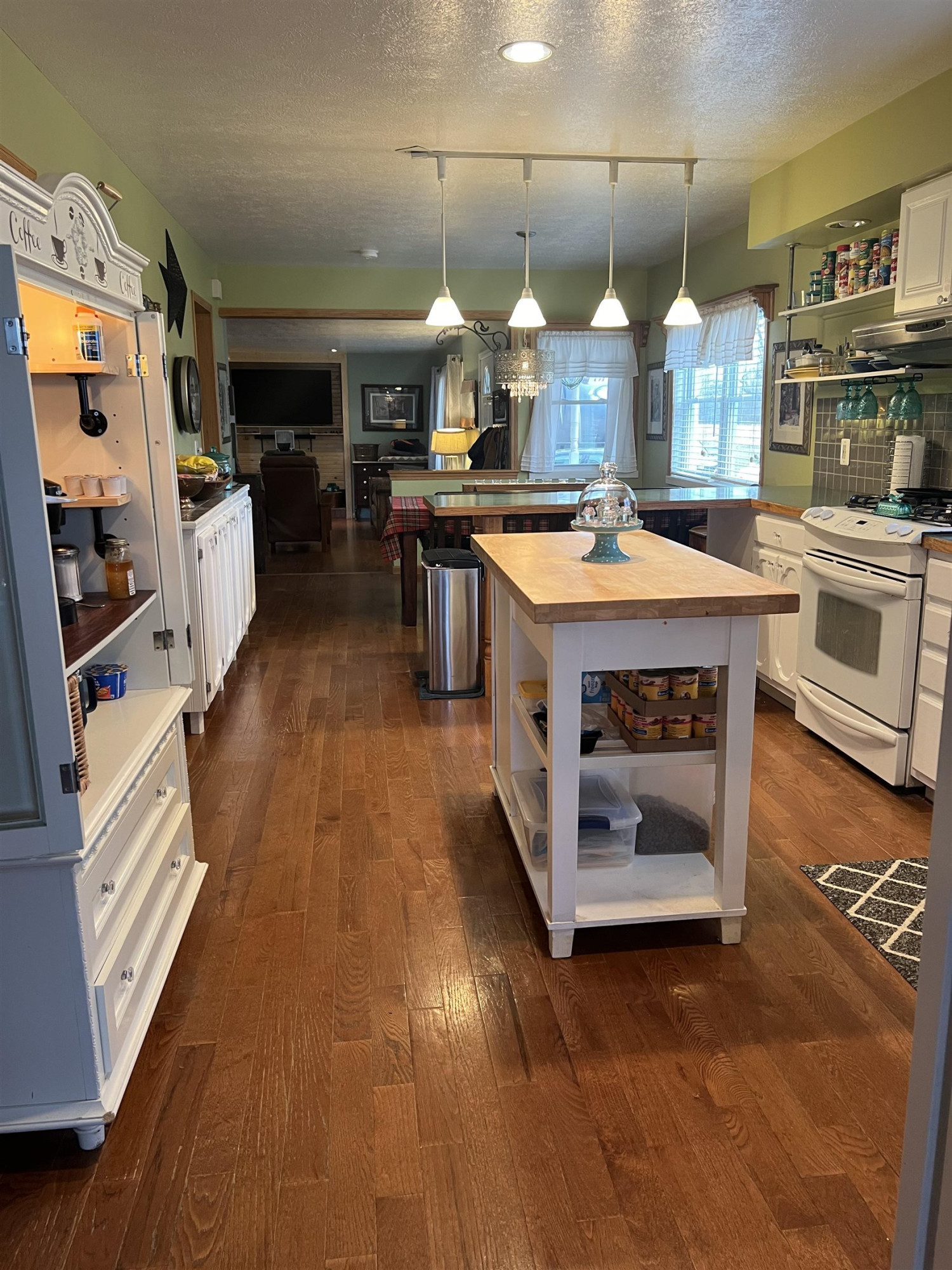 1173 S Hollister Road, Ovid, MI 48866 — Photo 12