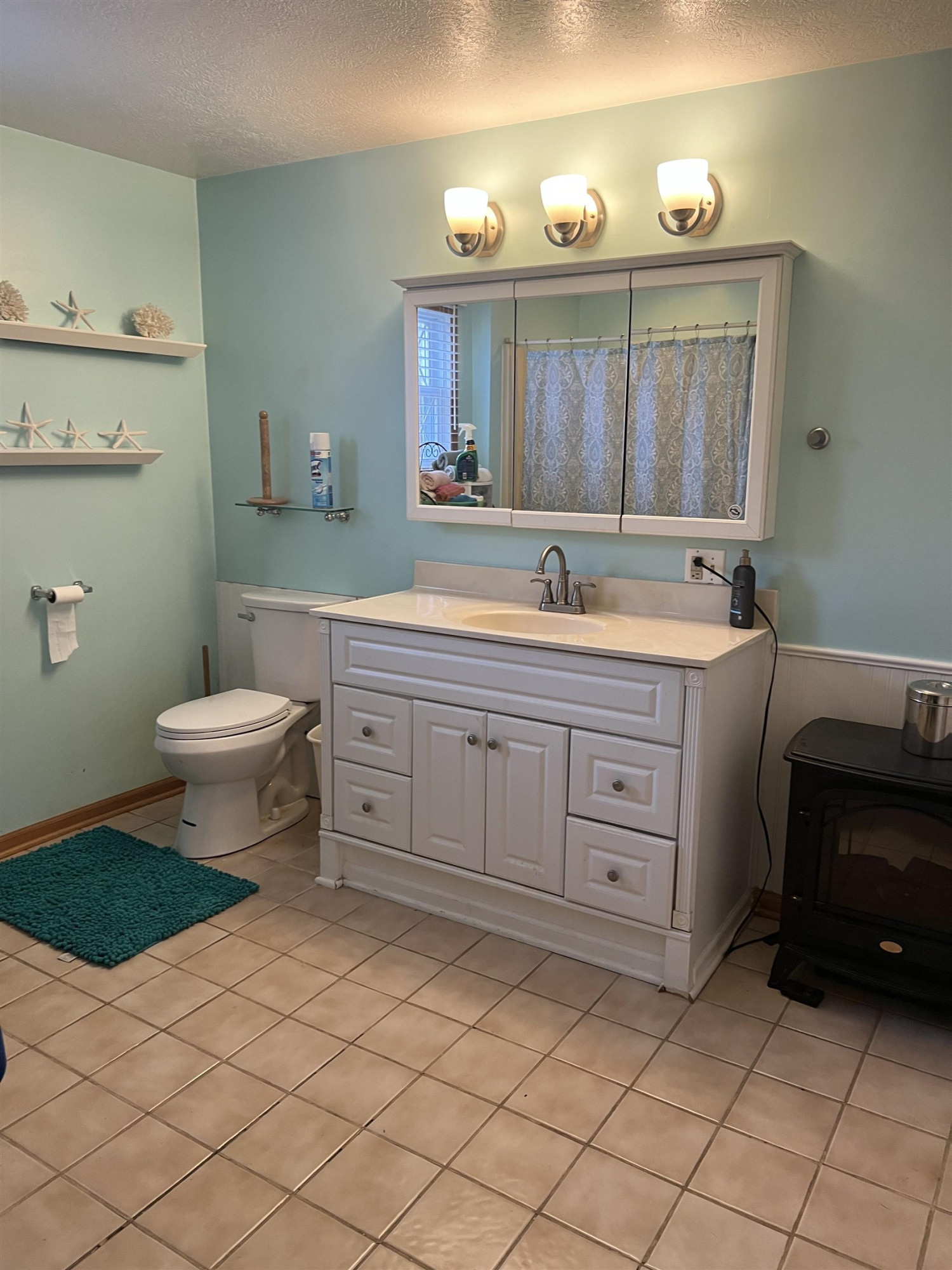 1173 S Hollister Road, Ovid, MI 48866 — Photo 15