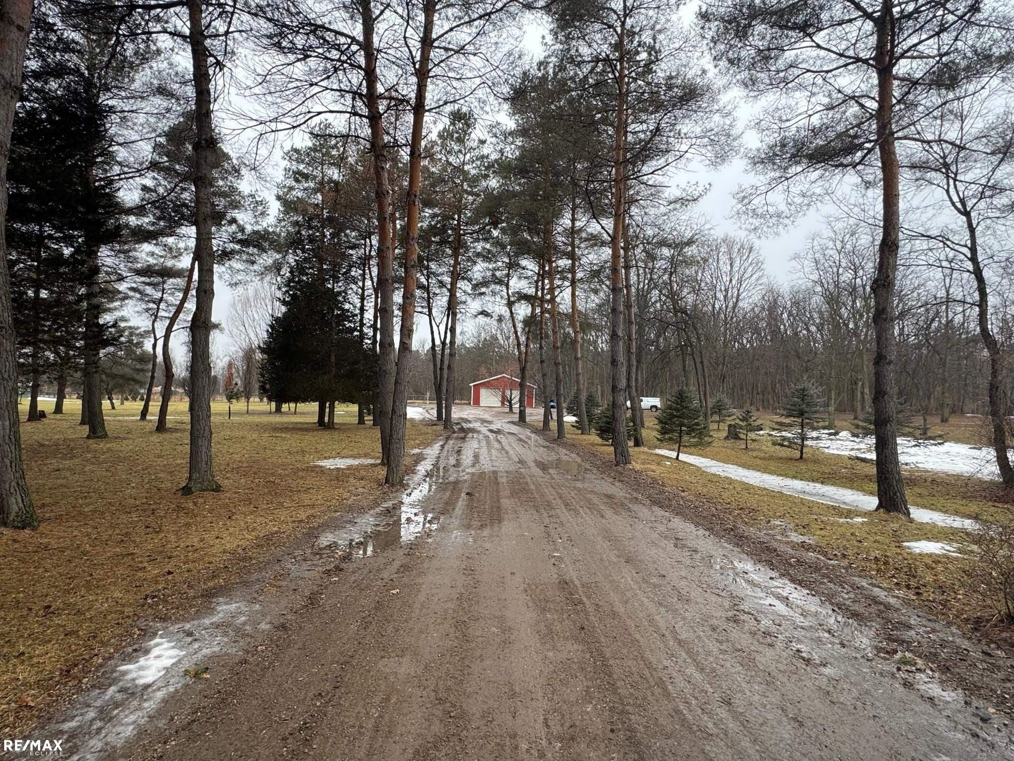 20125 29 Mile Road, MI — Photo 4