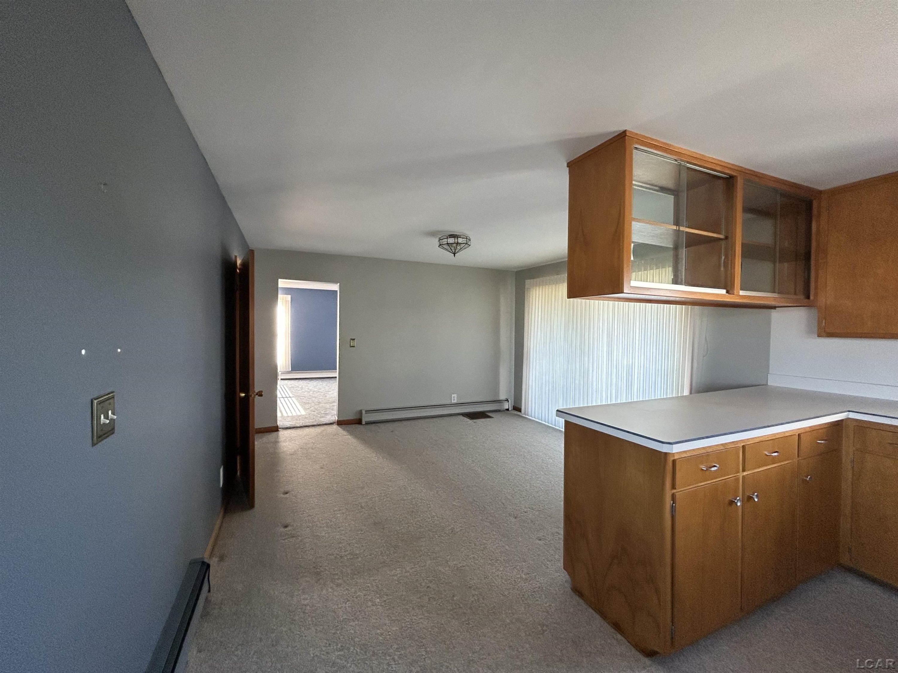 11035 Elliott Road, Sand Creek, MI 49279 — Photo 9
