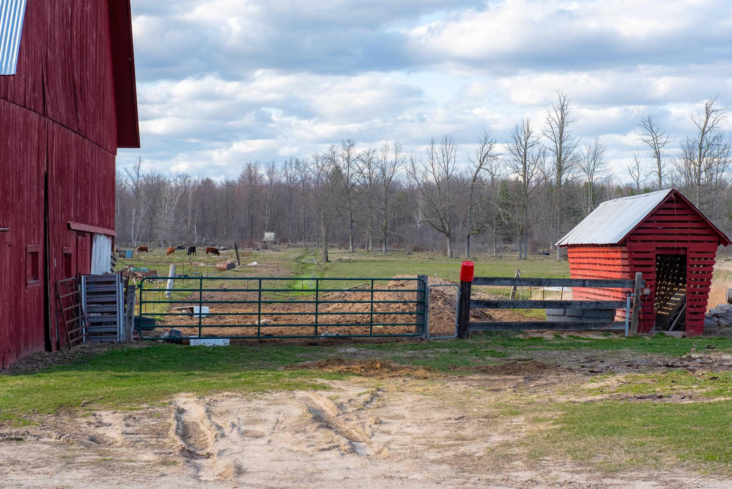 680 W Stewart Road, Midland, MI 48640 — Photo 5