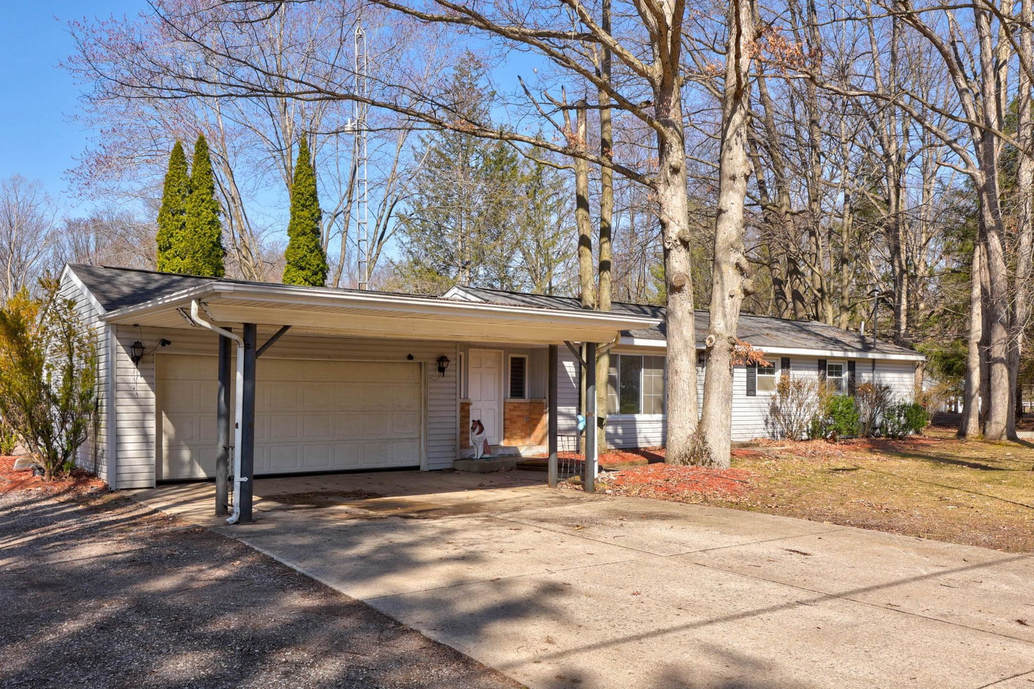 9810 Marshall Road, Birch Run, MI 48415 — Photo 4
