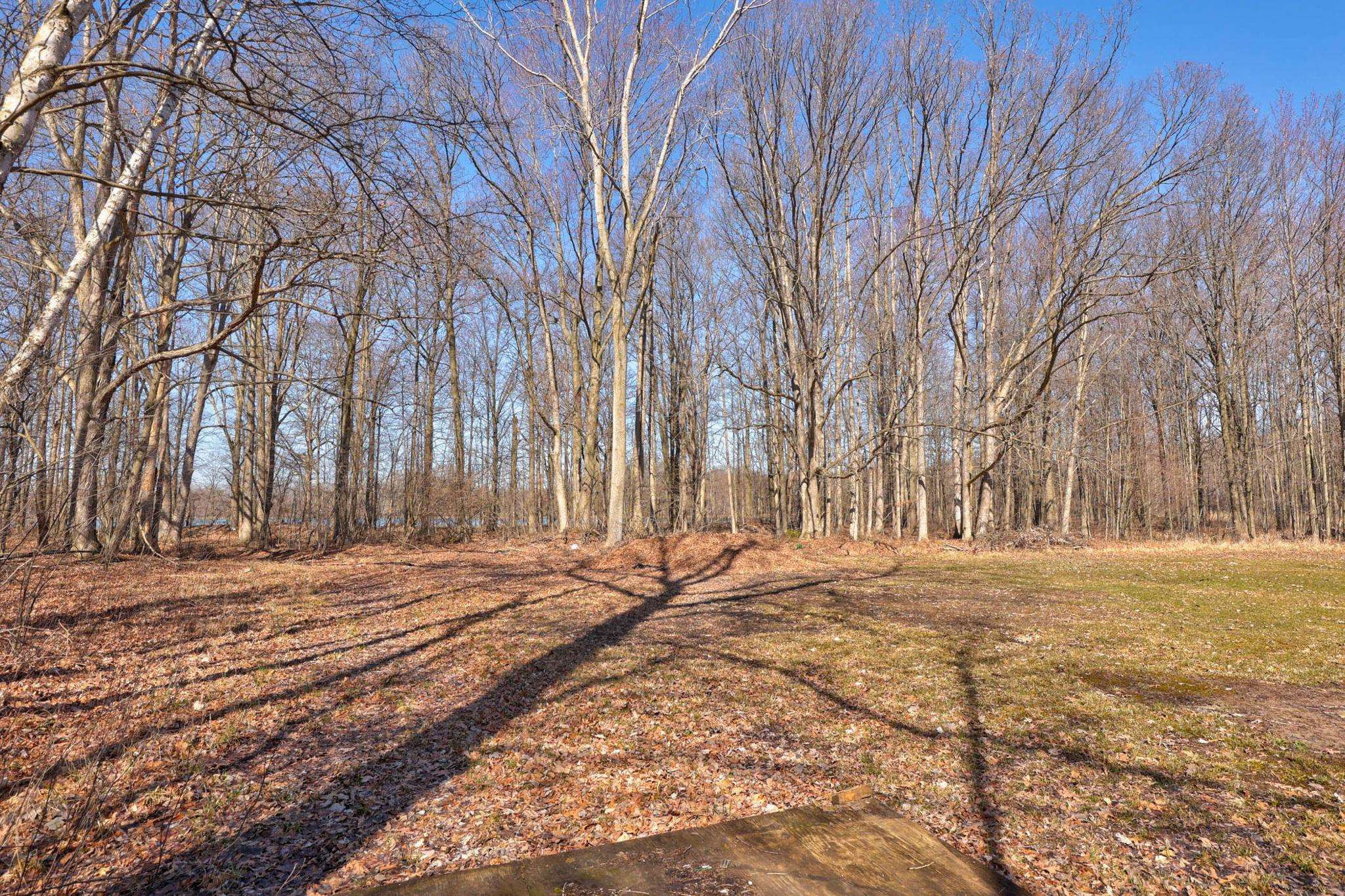 9810 Marshall Road, Birch Run, MI 48415 — Photo 49