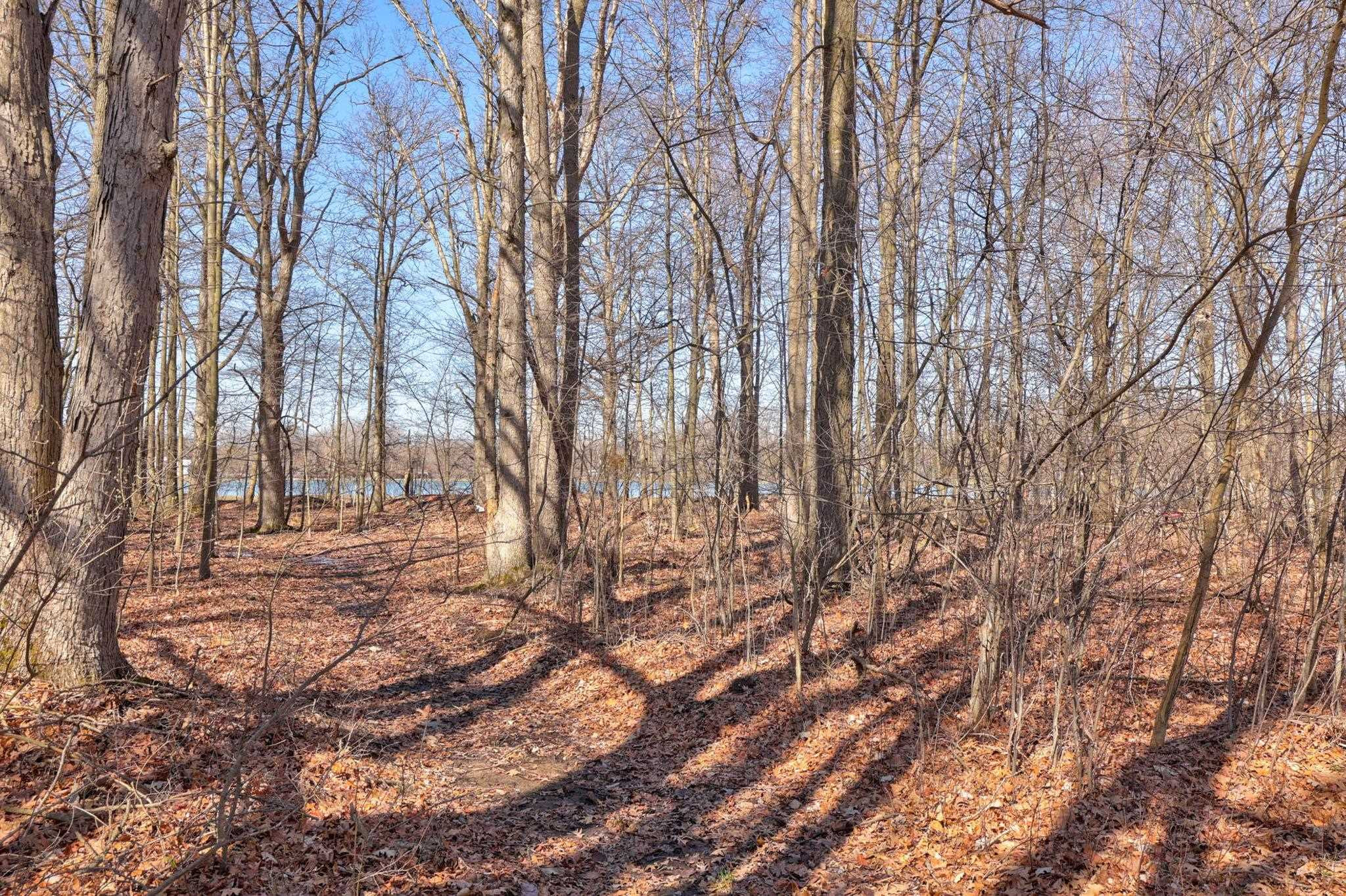 9810 Marshall Road, Birch Run, MI 48415 — Photo 50