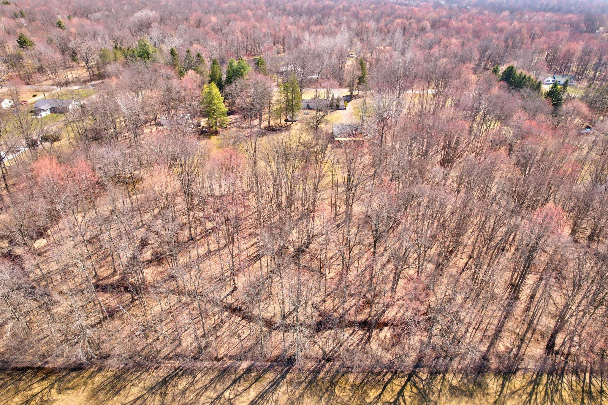 9810 Marshall Road, Birch Run, MI 48415 — Photo 65