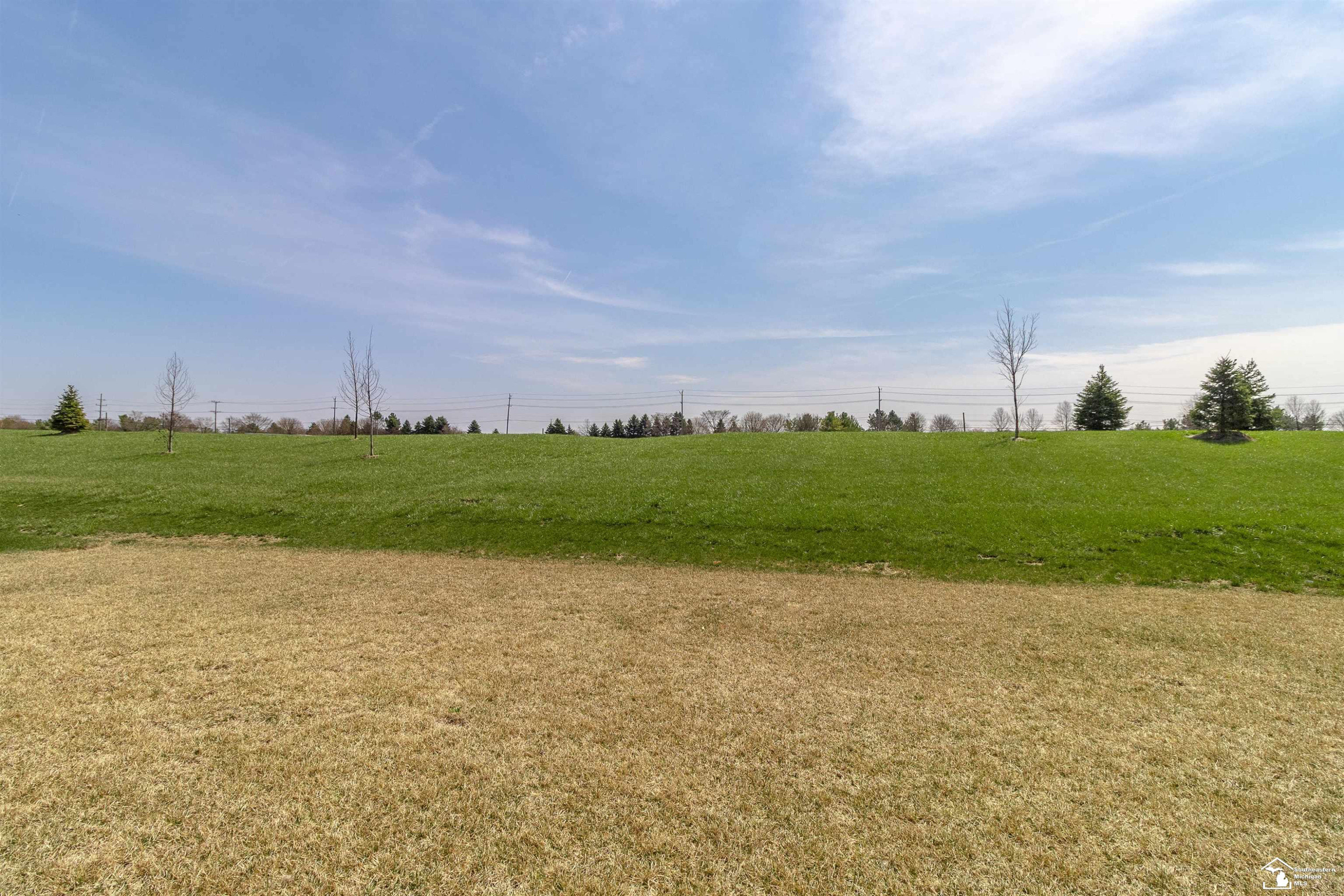2742 Salt Springs Drive, Saline, MI 48176 — Photo 55