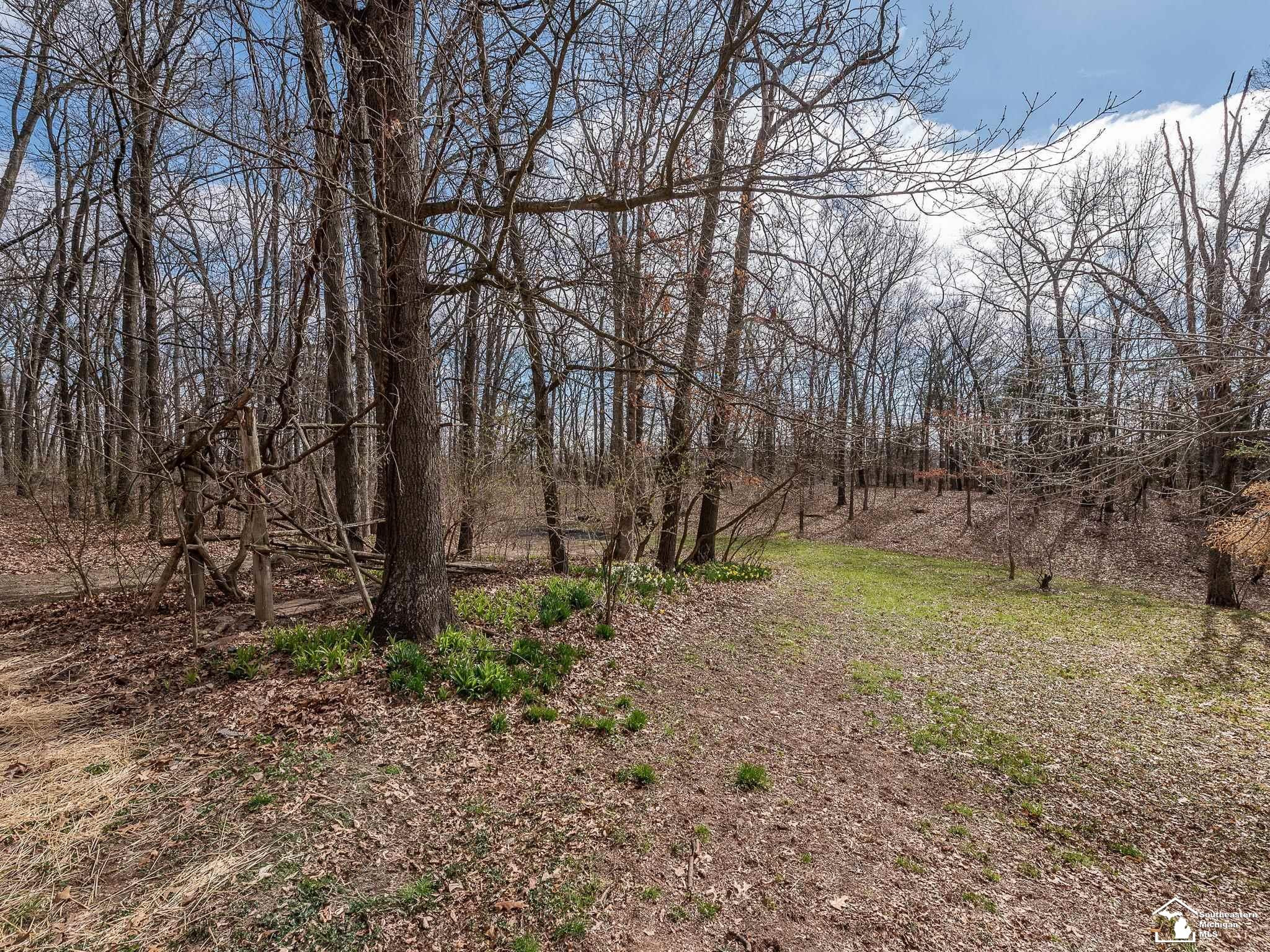 11641 Silver Lake Highway, Brooklyn, MI 49230 — Photo 51