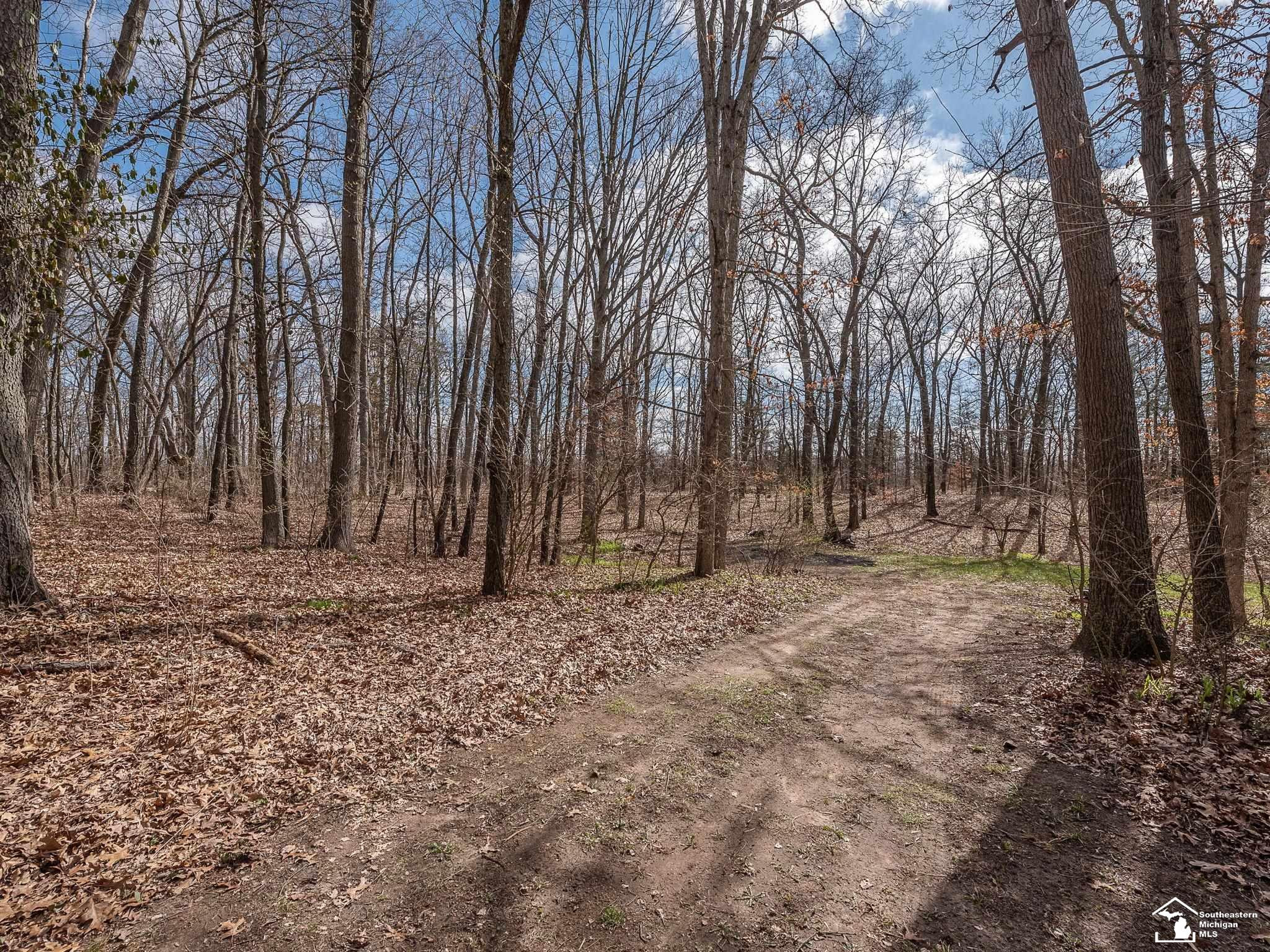 11641 Silver Lake Highway, Brooklyn, MI 49230 — Photo 52