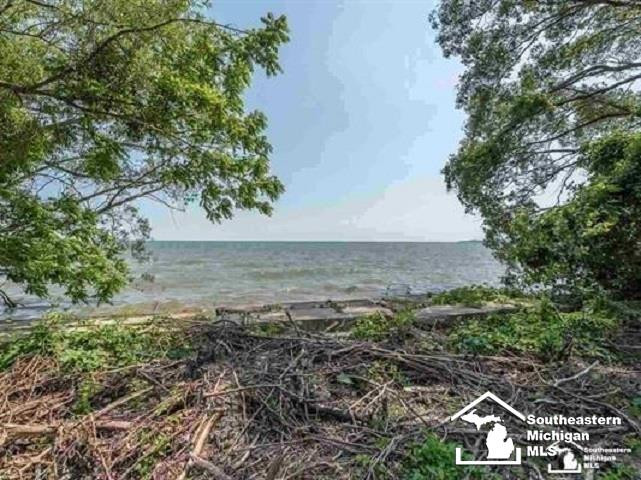 Noel Street, Newport, MI 48166 — Photo 3