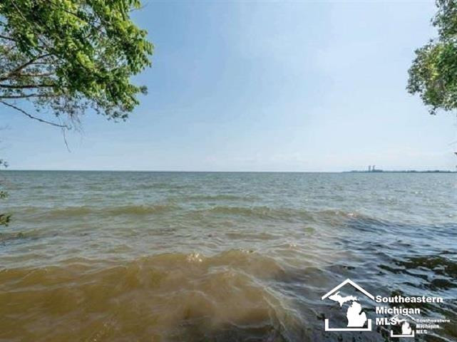 Noel Street, Newport, MI 48166 — Photo 4
