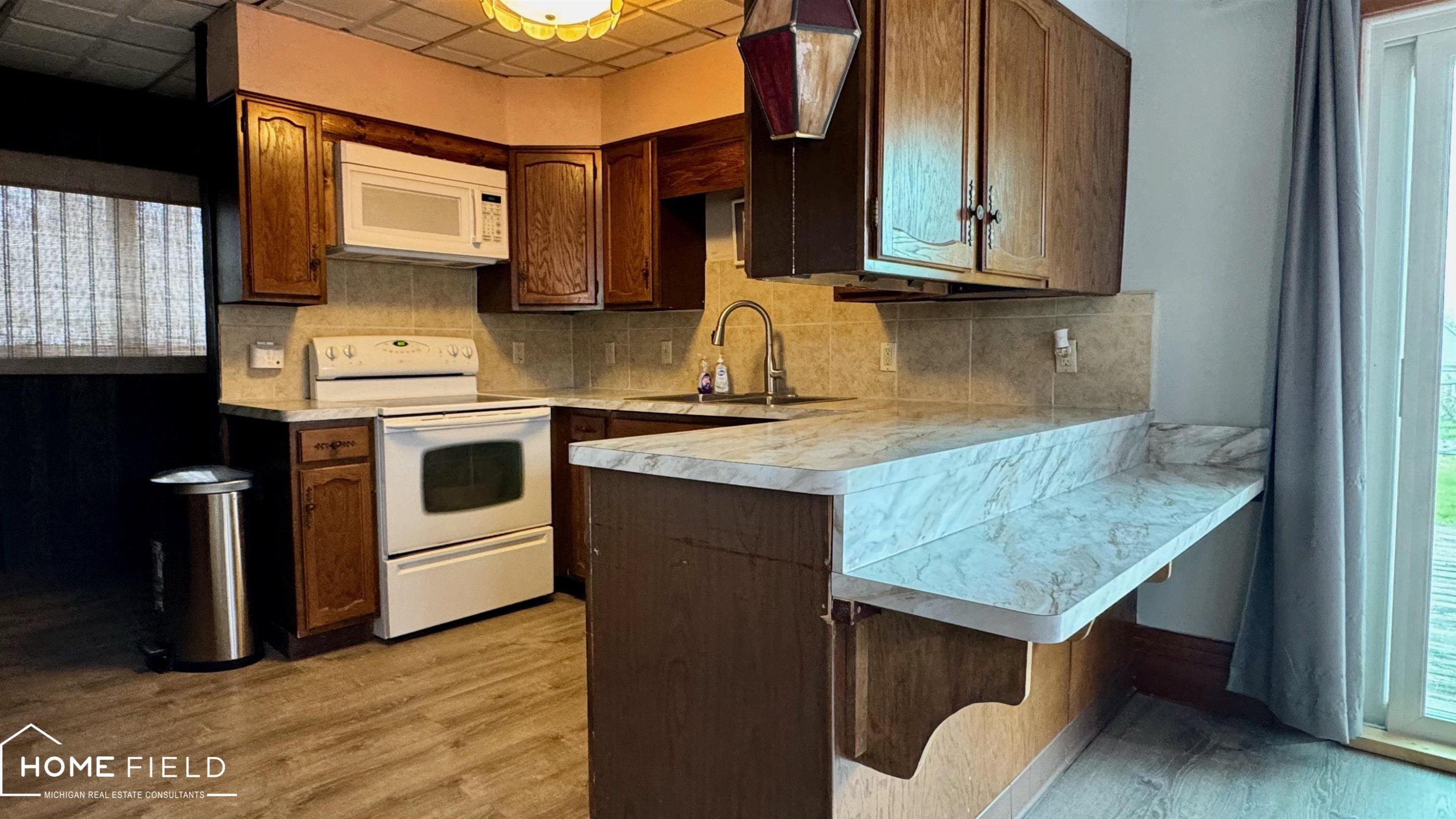 216 N Chapman Street, Chesaning, MI 48616 — Photo 2