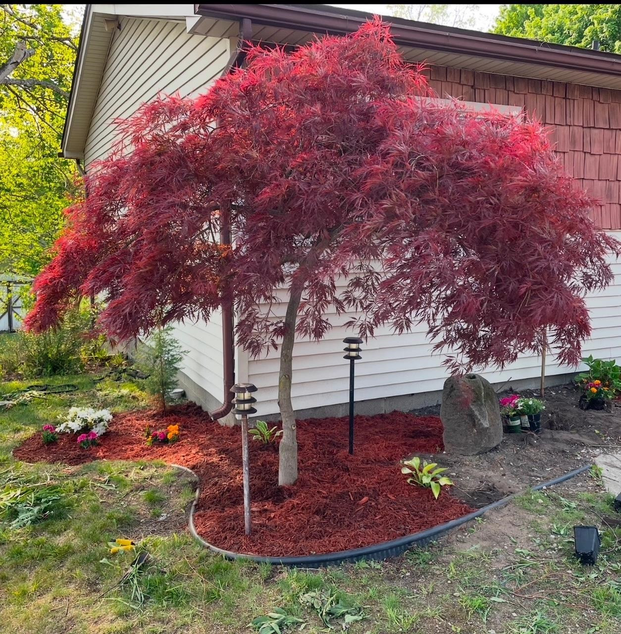 6176 Hackett Street, Waterford, MI 48327 — Photo 30