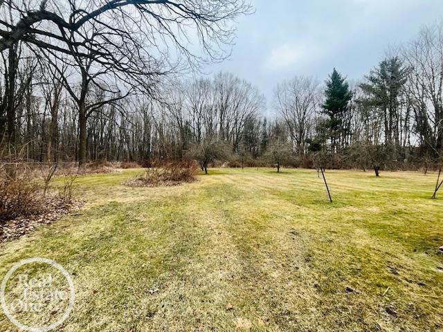 4384 North River Road, MI 48049 — Photo 58