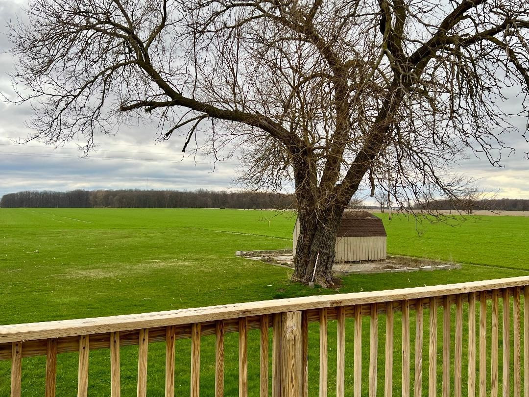 7872 W Peet Road, Chesaning, MI 48616 — Photo 29