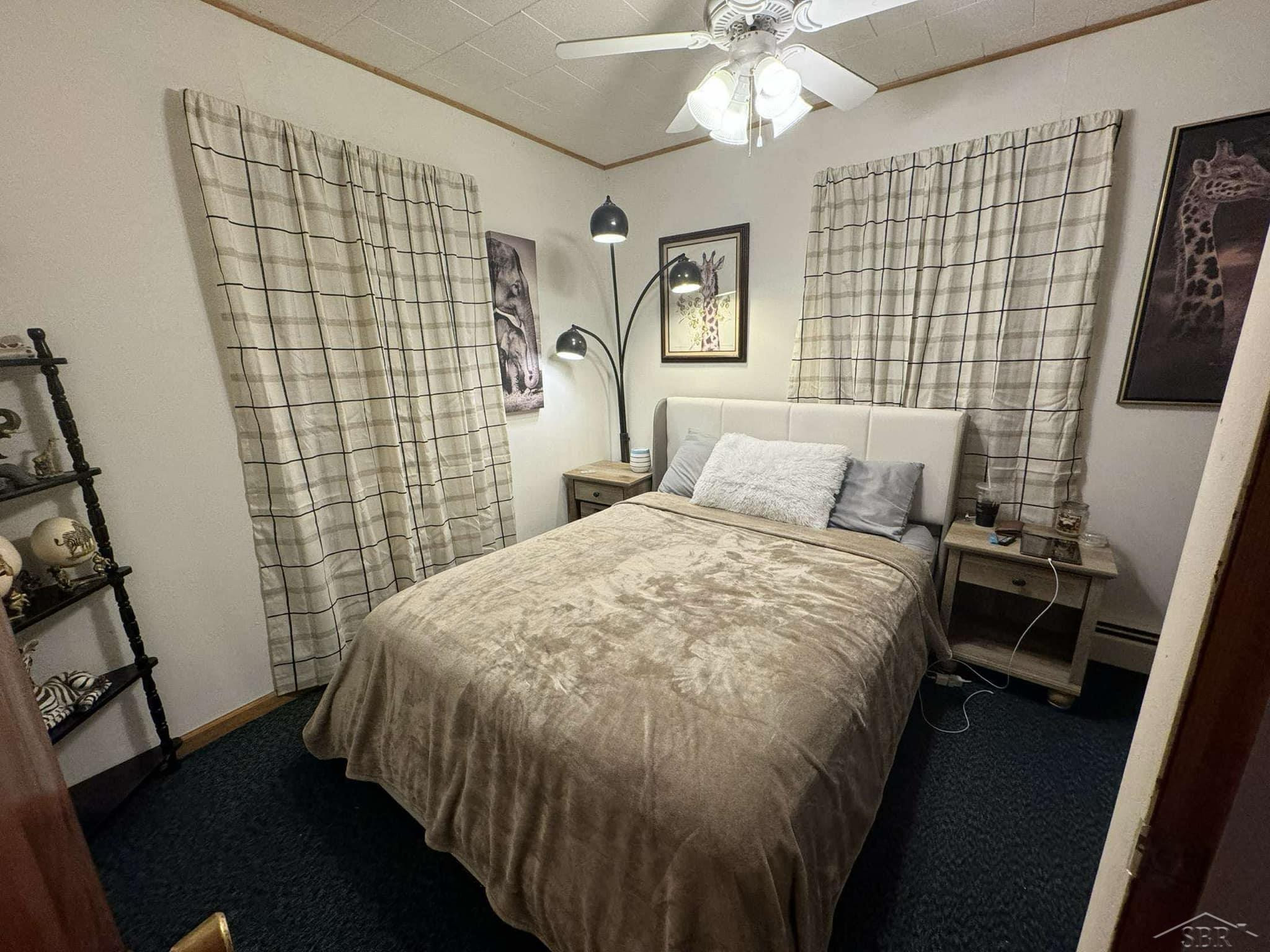 510 W Hosmer Street, Saint Charles, MI 48655 — Photo 11