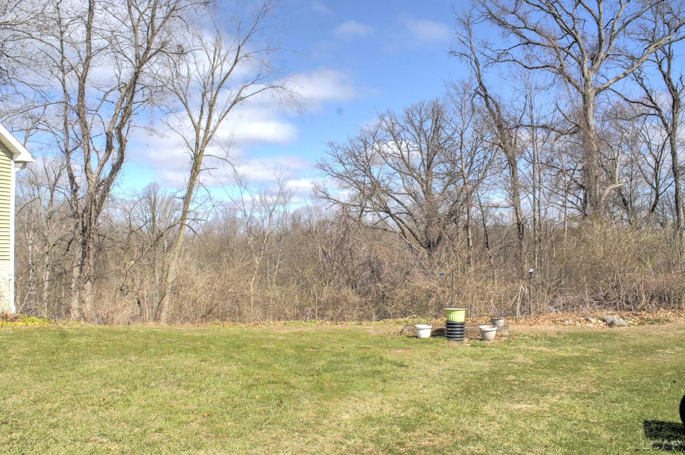 4126 Kopke Road, Britton, MI 49229 — Photo 36