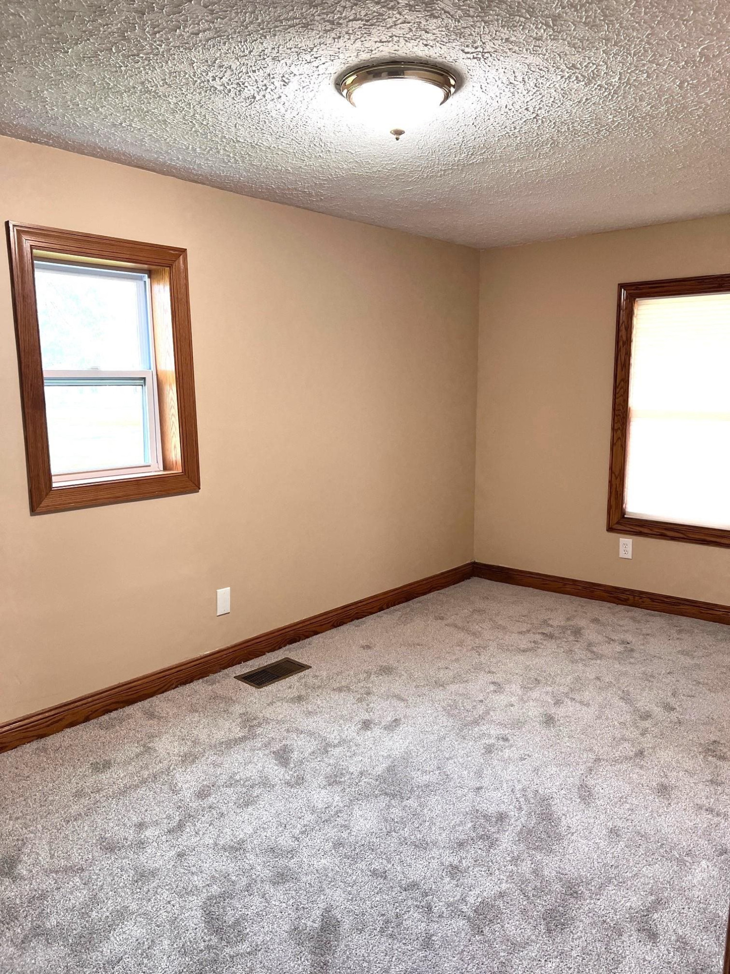 109 S MAIN Street, Morrice, MI 48857 — Photo 9