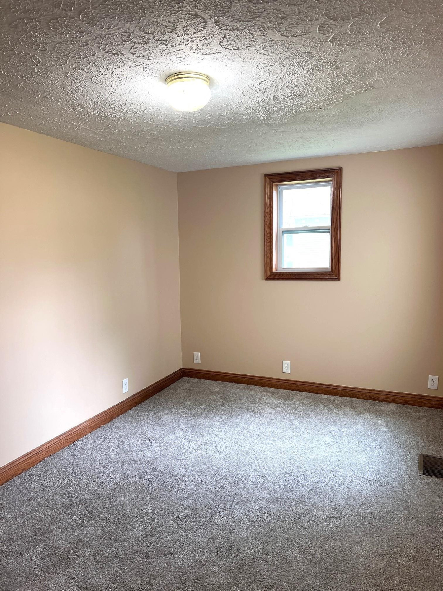 109 S MAIN Street, Morrice, MI 48857 — Photo 10