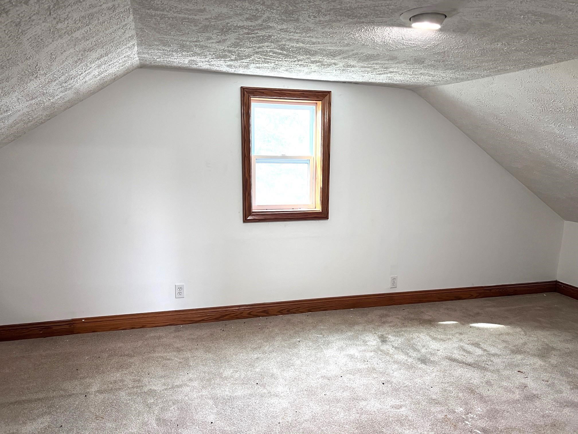 109 S MAIN Street, Morrice, MI 48857 — Photo 13