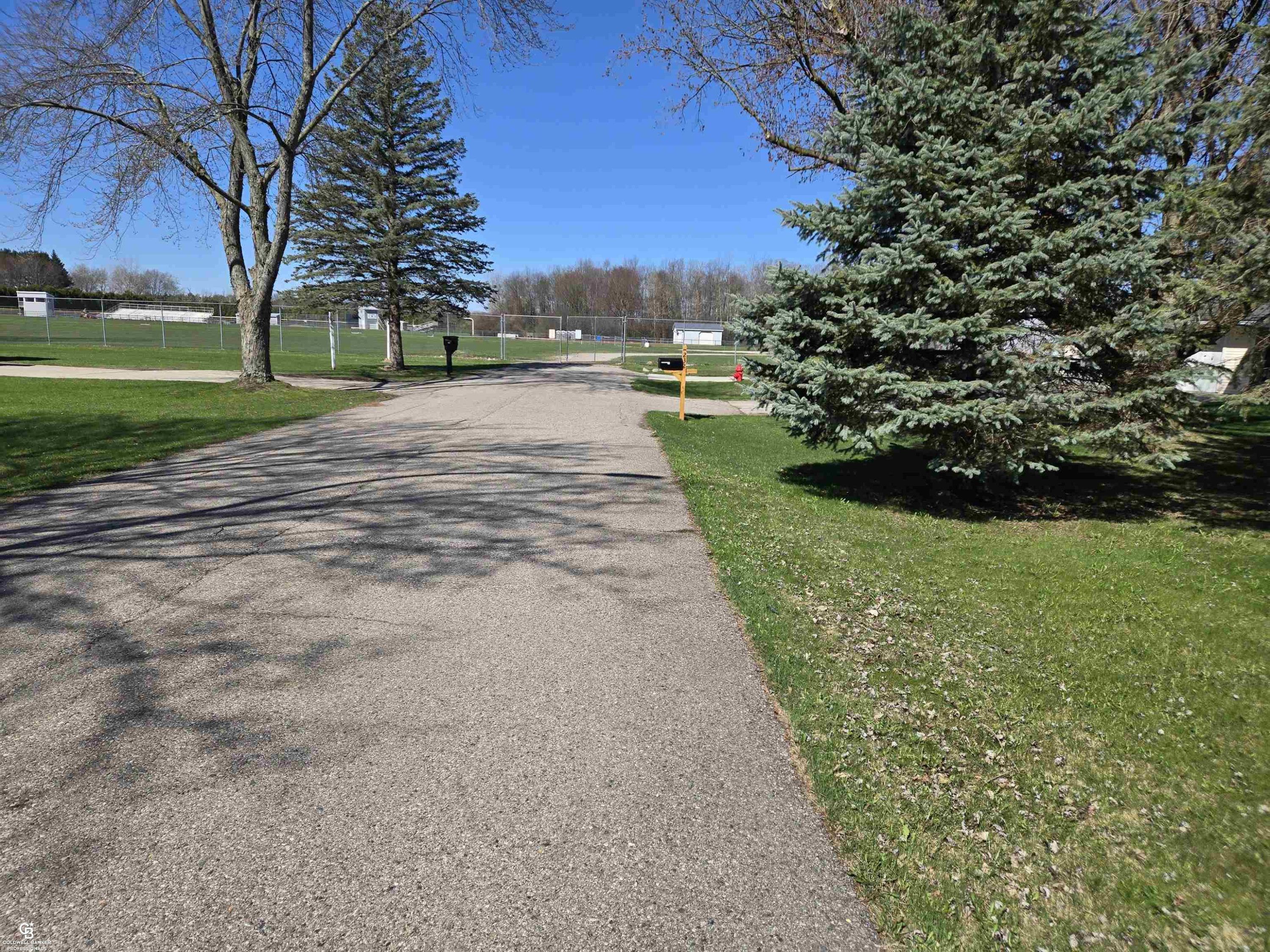 230 McColl Street, Yale, MI 48097 — Photo 24
