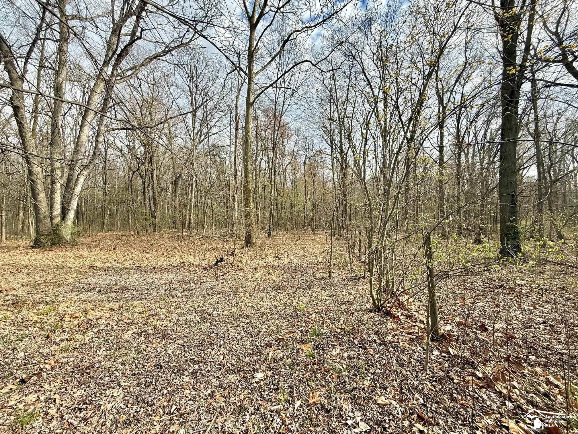 20681 Ida Center Road, Petersburg, MI 49270 — Photo 7