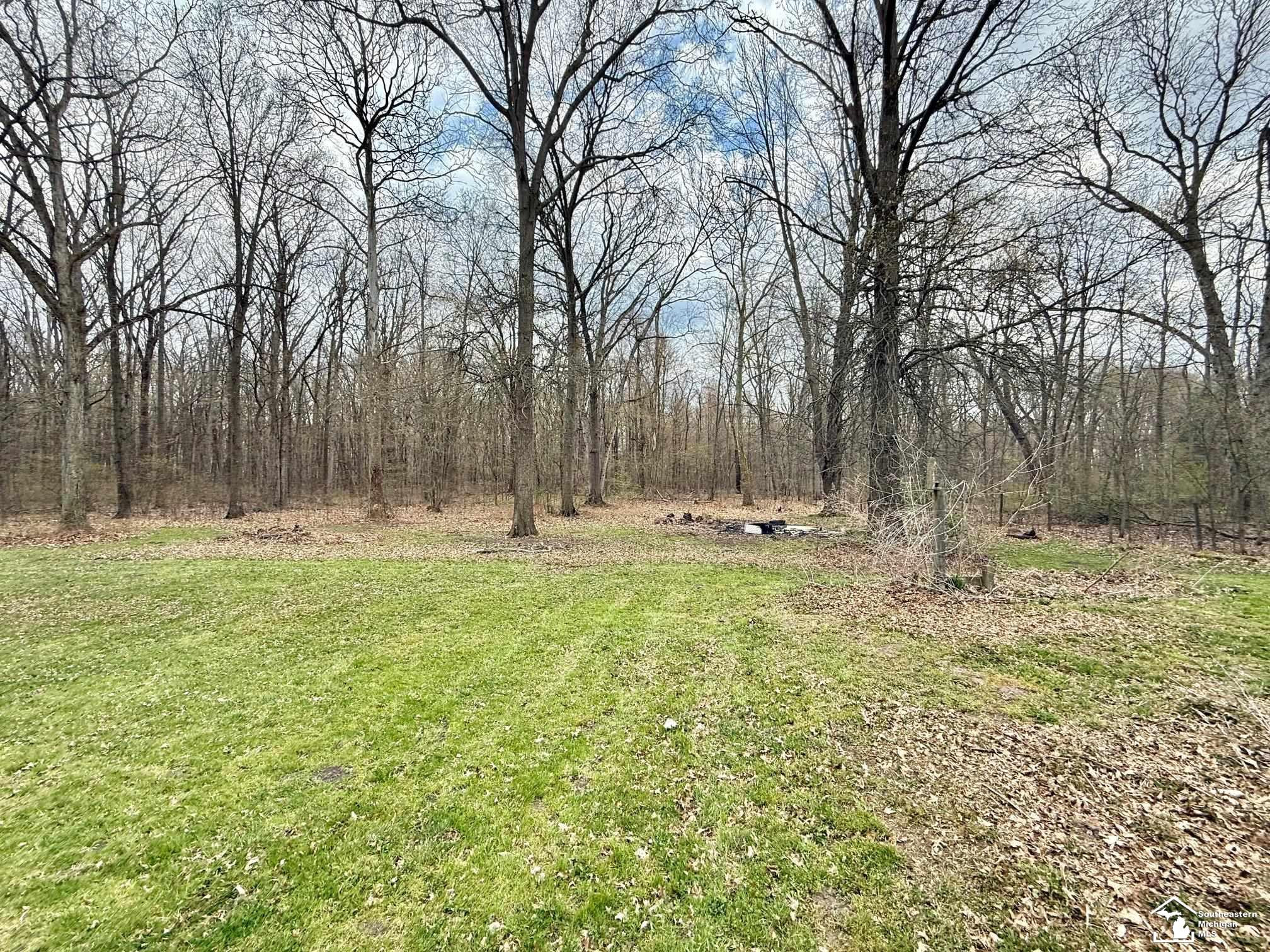 20681 Ida Center Road, Petersburg, MI 49270 — Photo 8