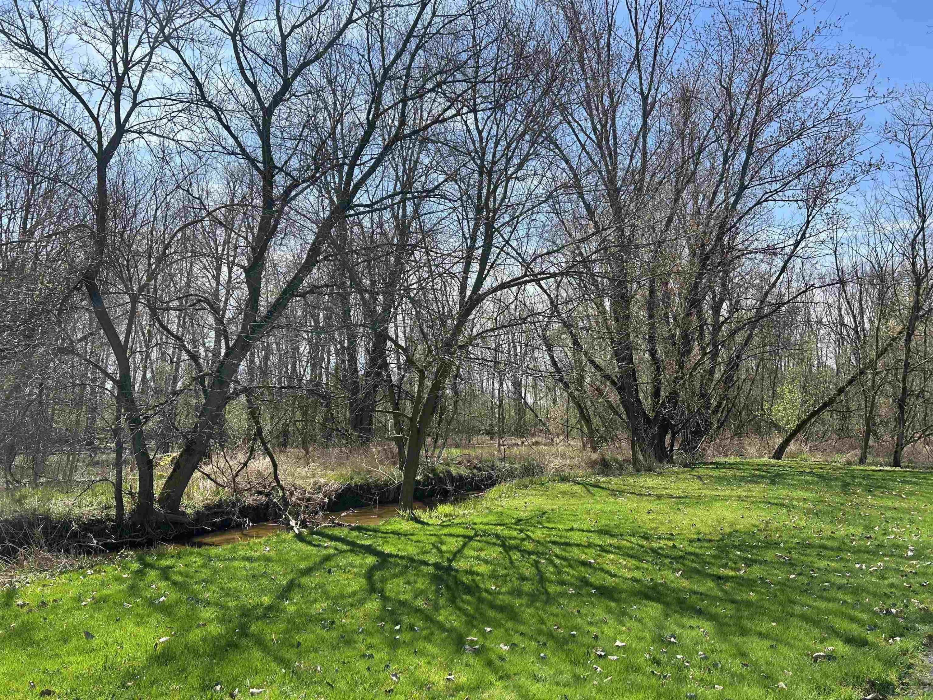 4217 Livesay Road, Sand Creek, MI 49279 — Photo 9