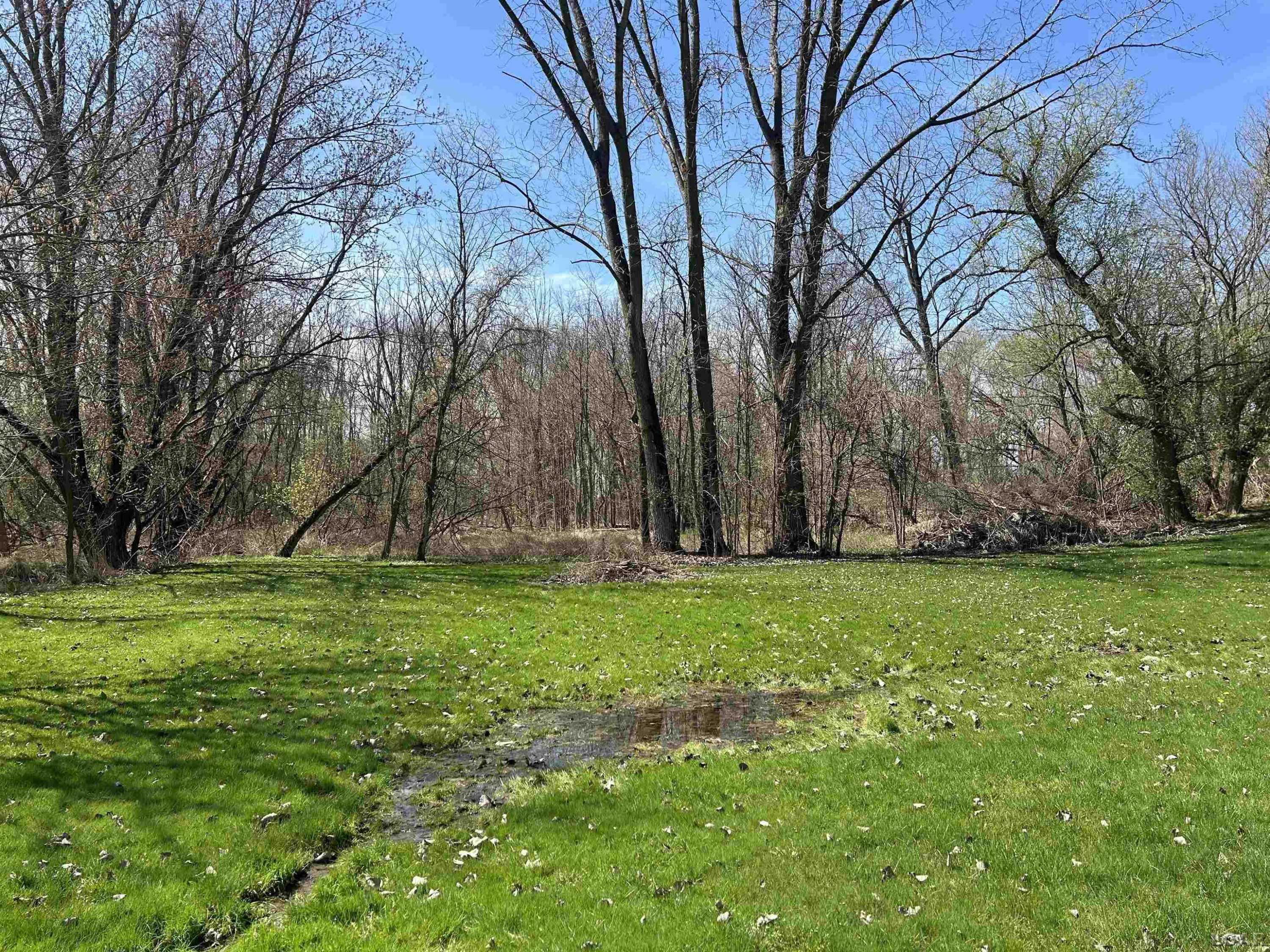 4217 Livesay Road, Sand Creek, MI 49279 — Photo 10
