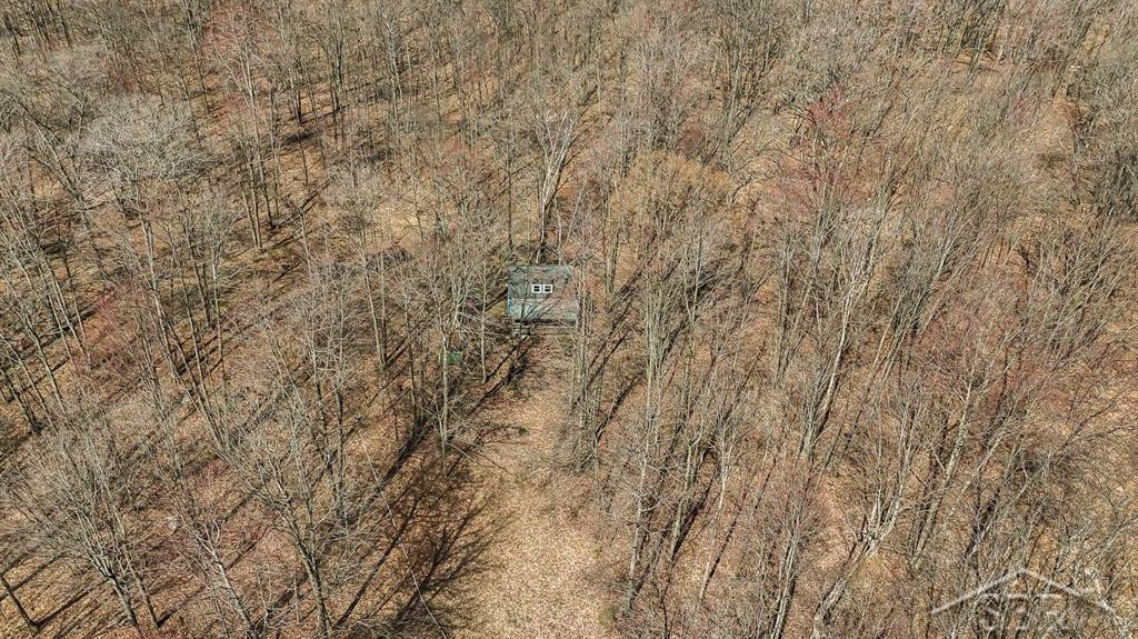 Sunrise Lake Road - 14679 Drive, Leroy, MI 49655 — Photo 2