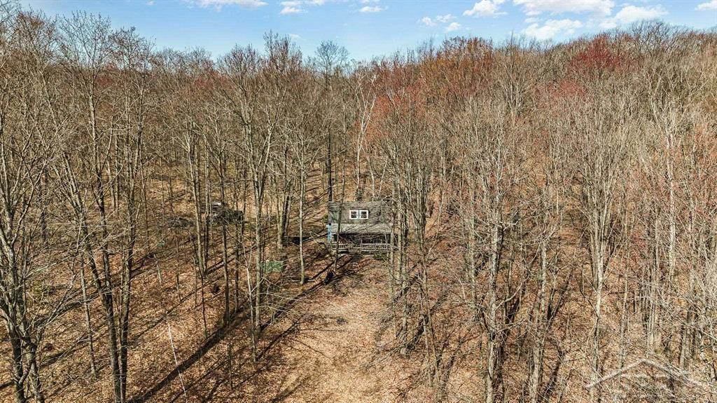 Sunrise Lake Road - 14679 Drive, Leroy, MI 49655 — Photo 3