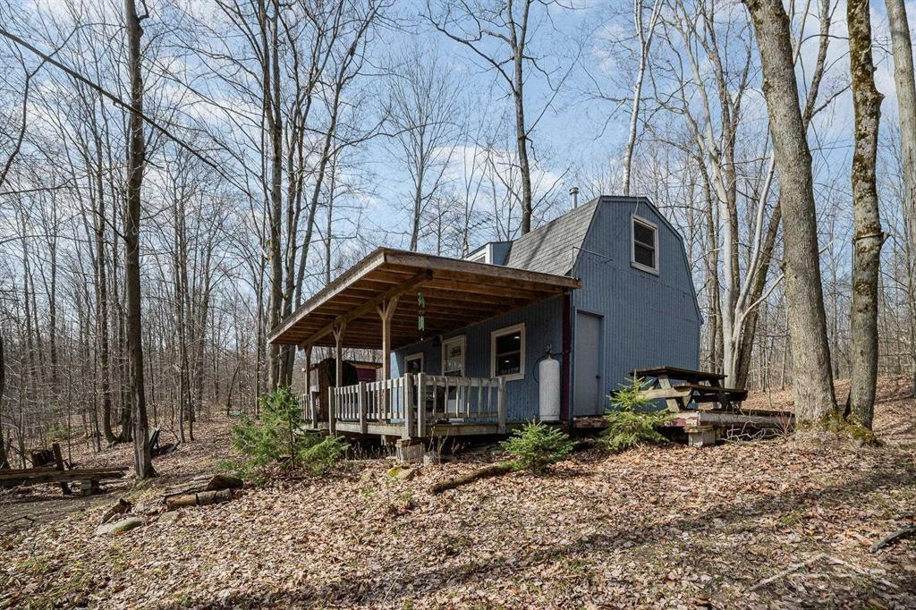 Sunrise Lake Road - 14679 Drive, Leroy, MI 49655 — Photo 23