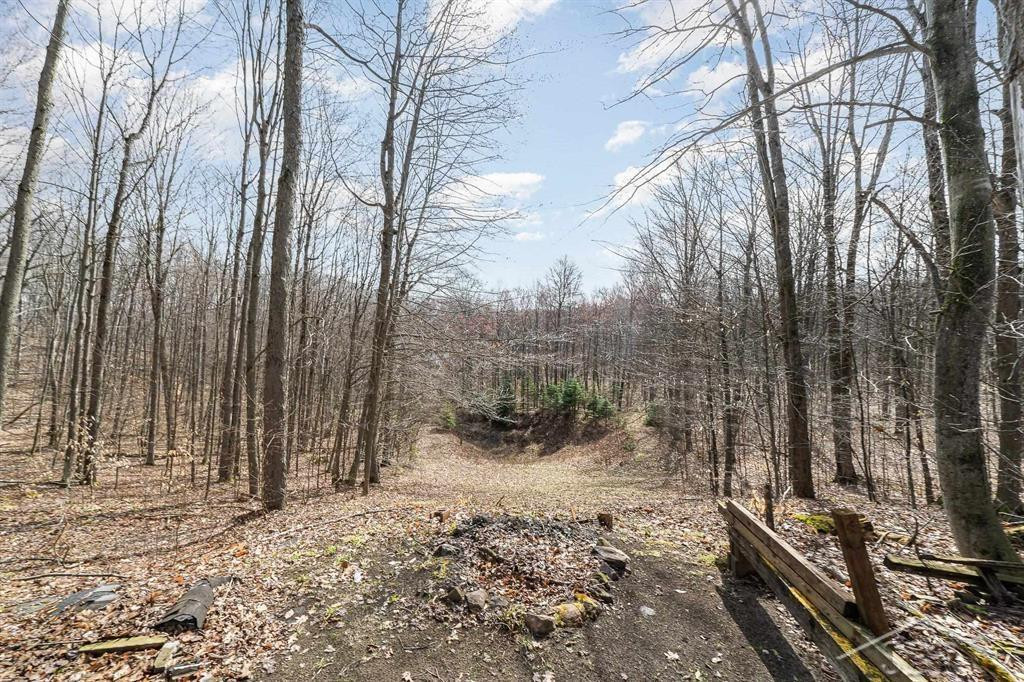 Sunrise Lake Road - 14679 Drive, Leroy, MI 49655 — Photo 25