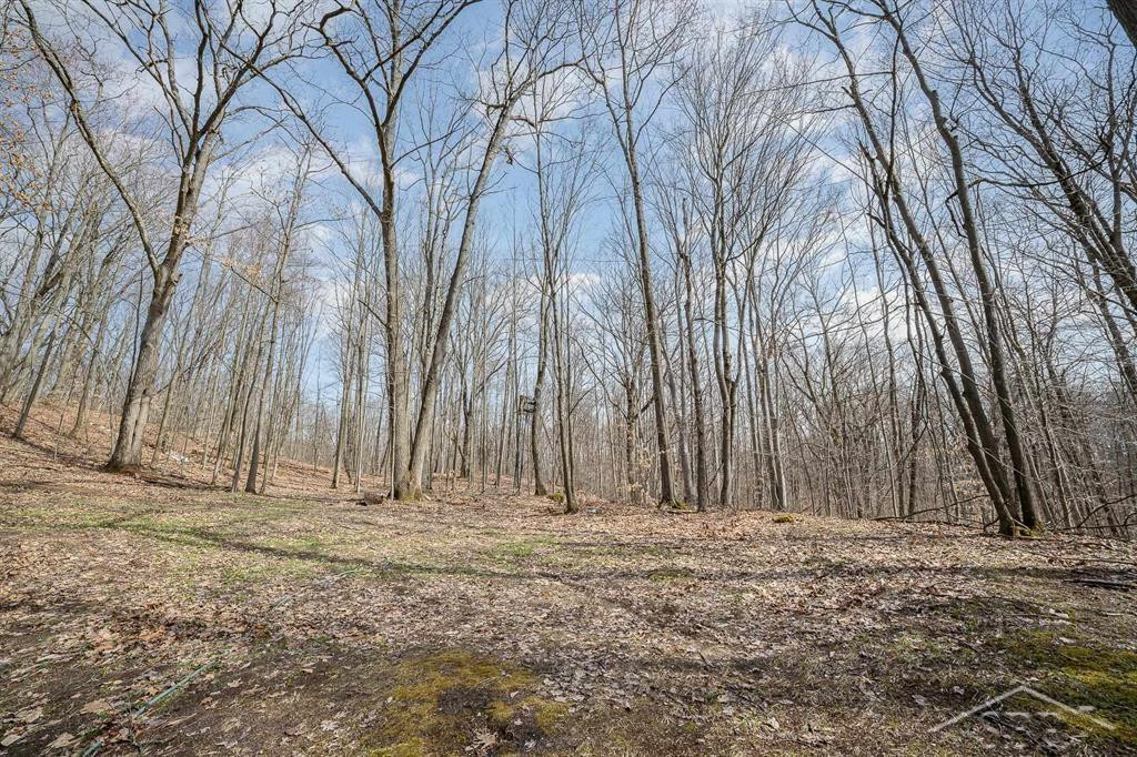 Sunrise Lake Road - 14679 Drive, Leroy, MI 49655 — Photo 26