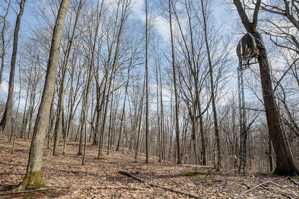 Sunrise Lake Road - 14679 Drive, Leroy, MI 49655 — Photo 27