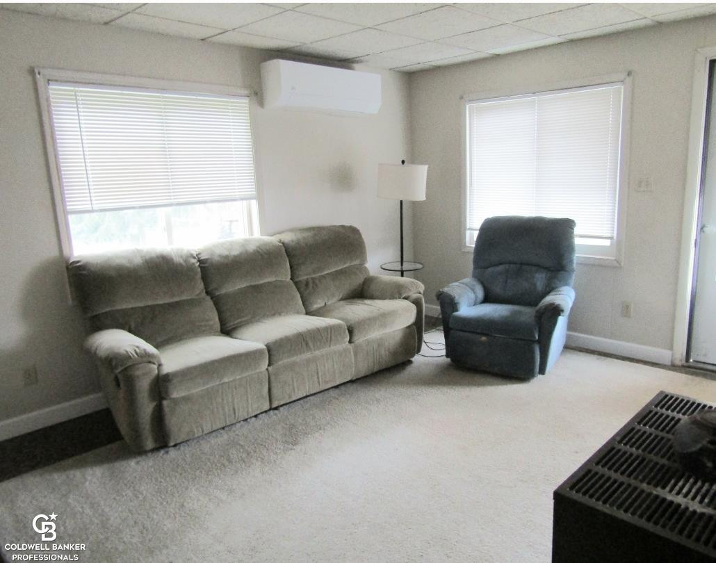 12 Clarence Street, Yale, MI 48097 — Photo 12