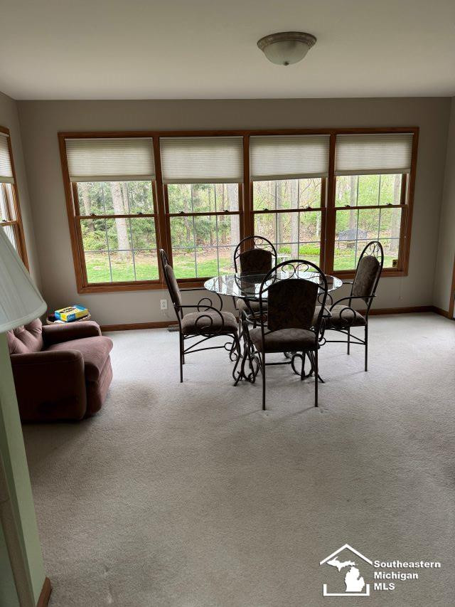 910 Hickory Creek Drive, Temperance, MI 48182 — Photo 20